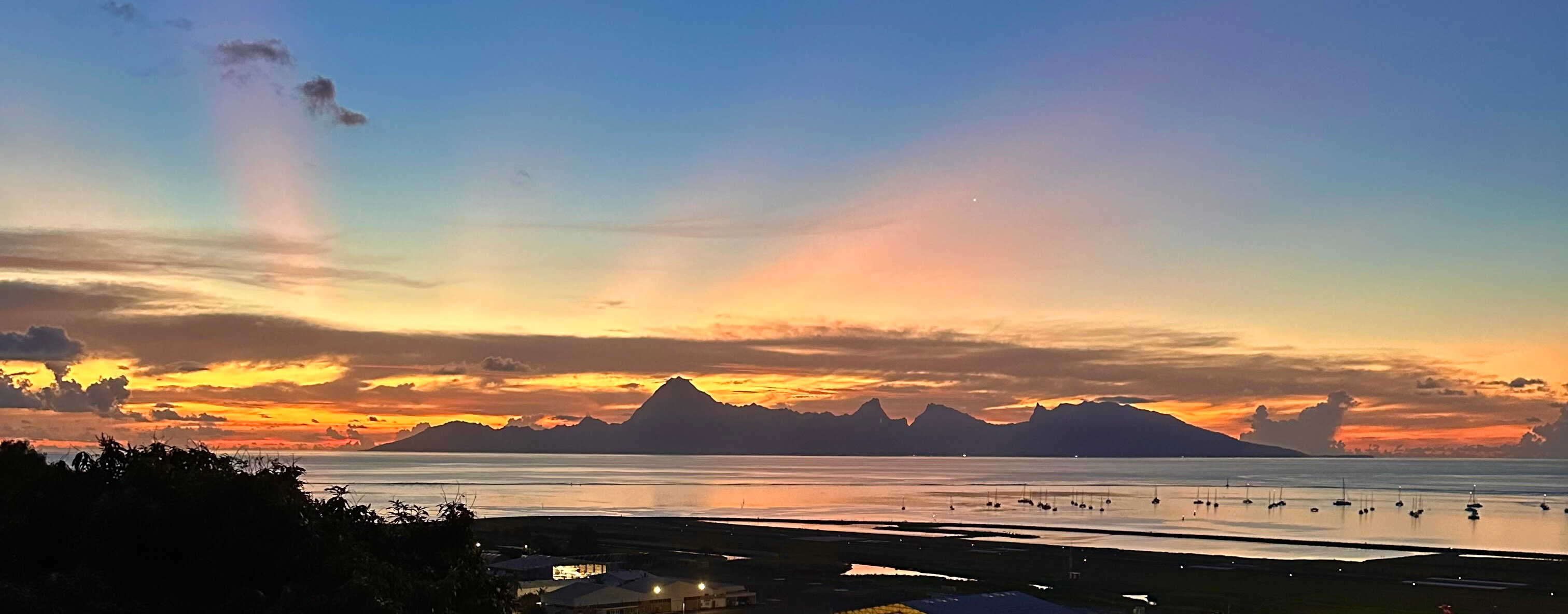 Your favorite ISLANDER OnlyFans header