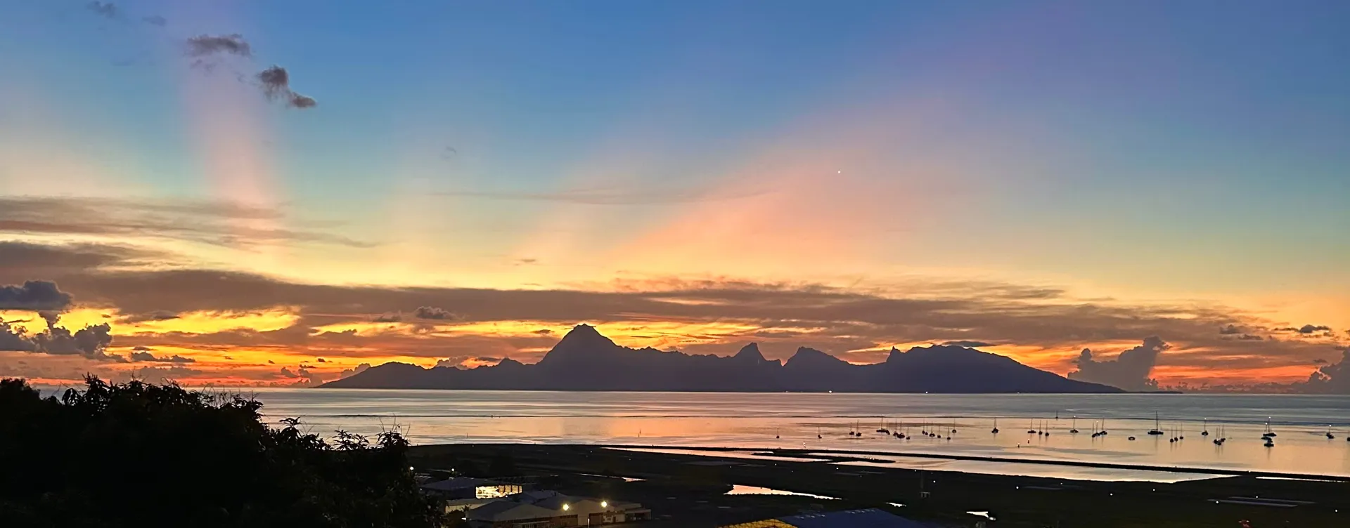 Your favorite ISLANDER OnlyFans header