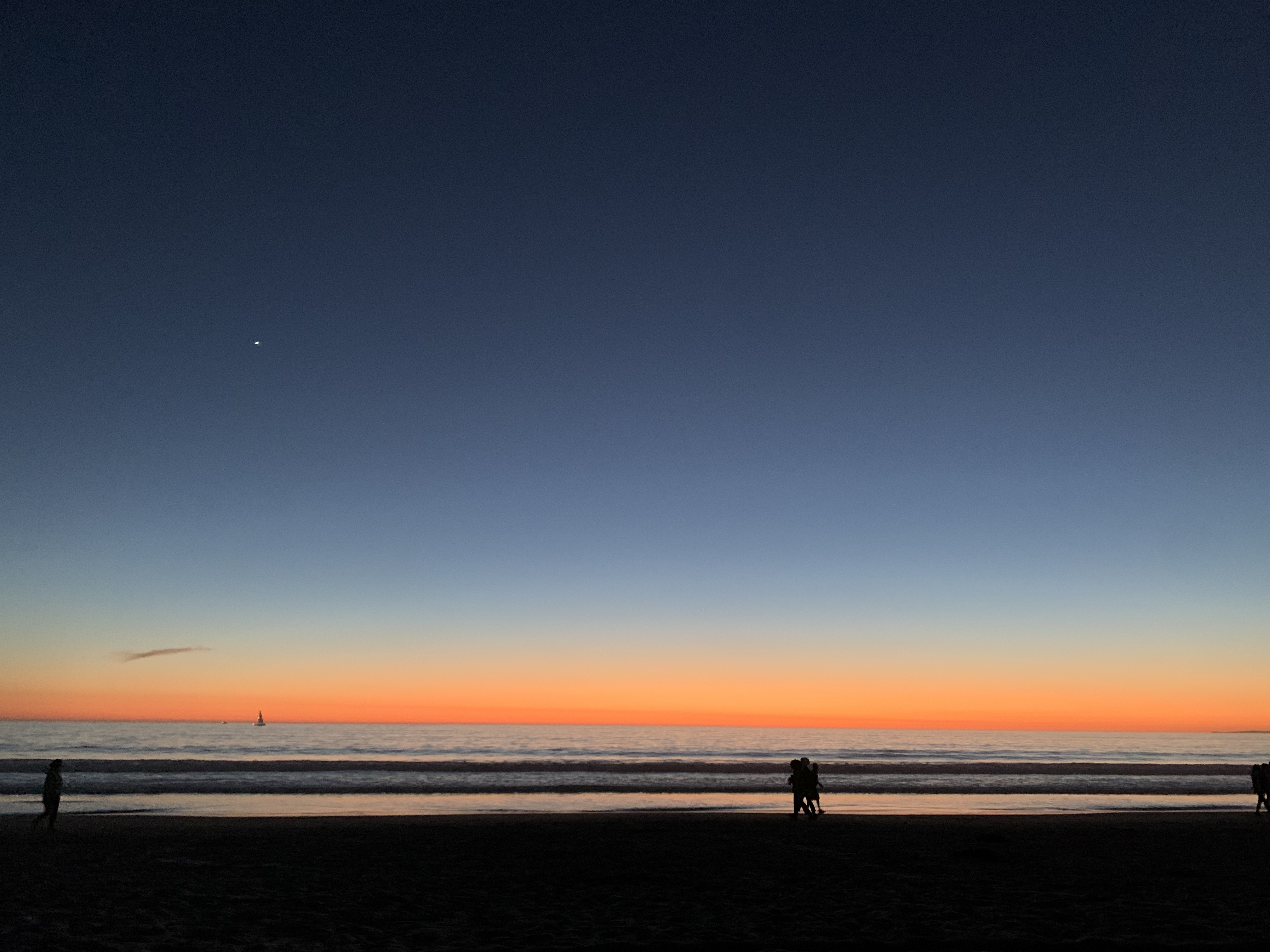 Your Latin Papi OnlyFans header