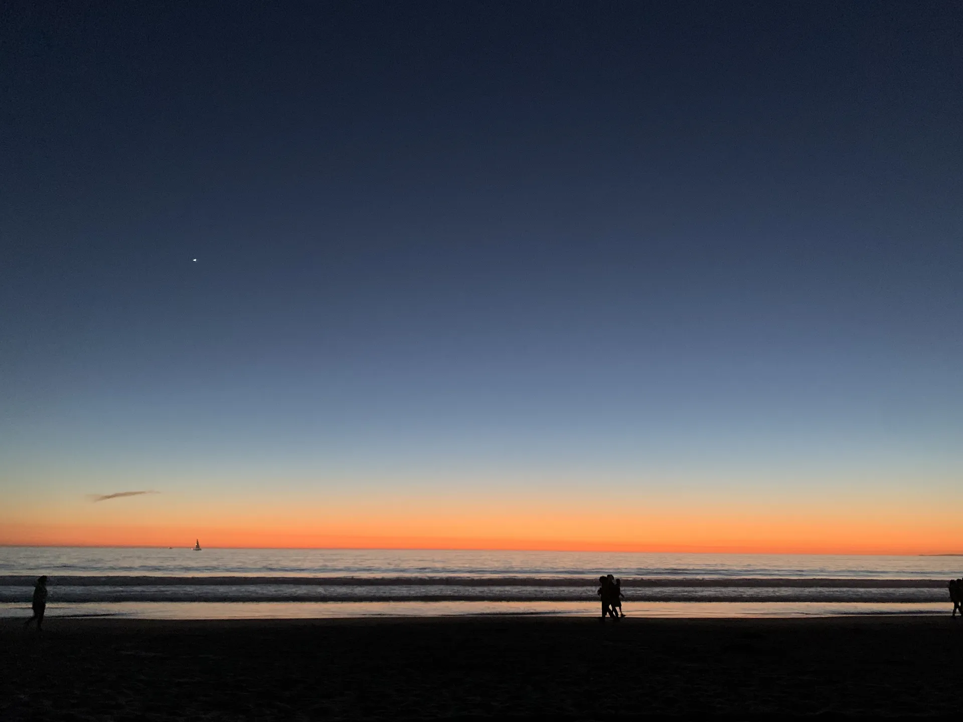 Your Latin Papi OnlyFans header