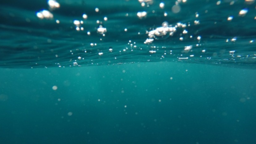 Ocean OnlyFans header