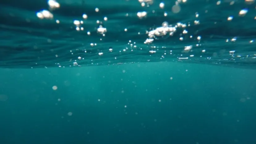 Ocean OnlyFans header