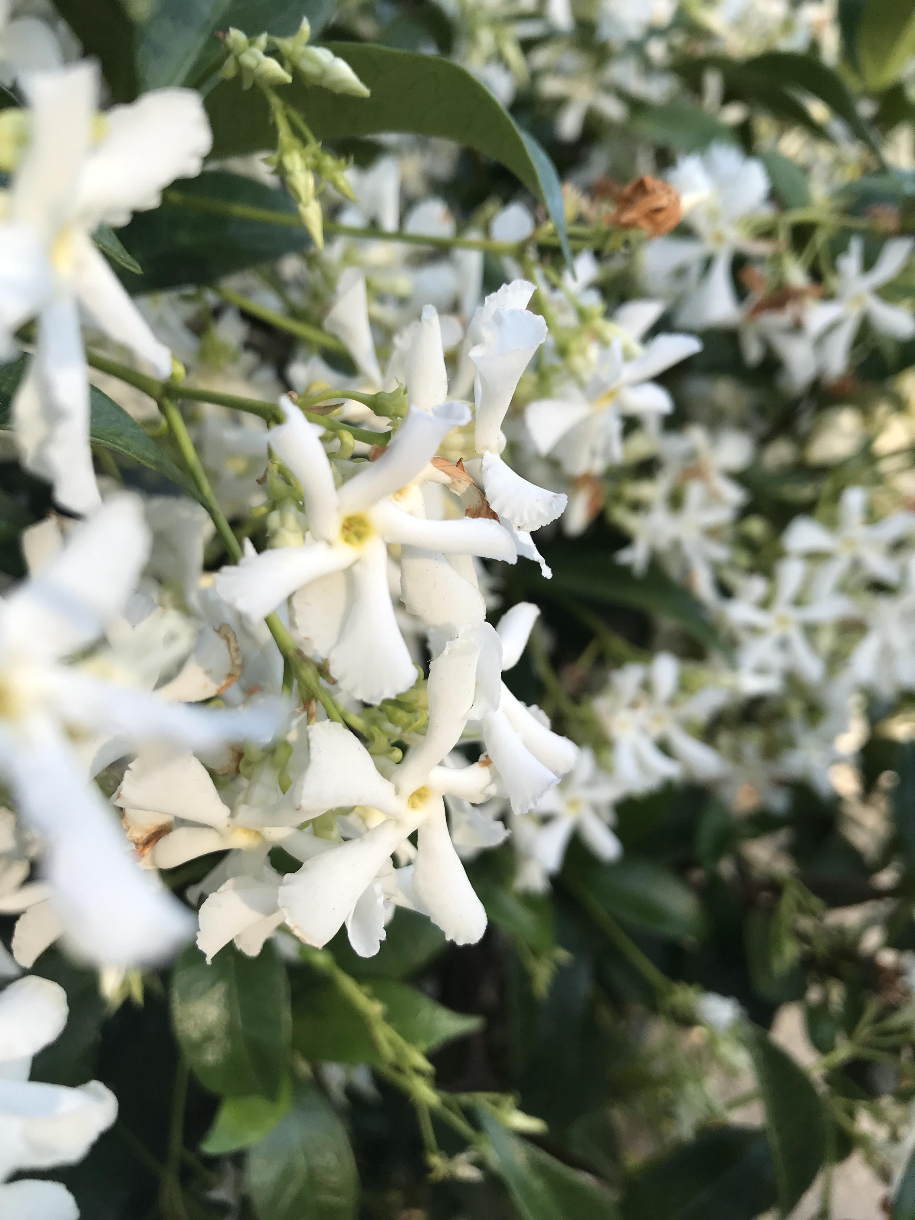 Babyboy😘 OnlyFans header