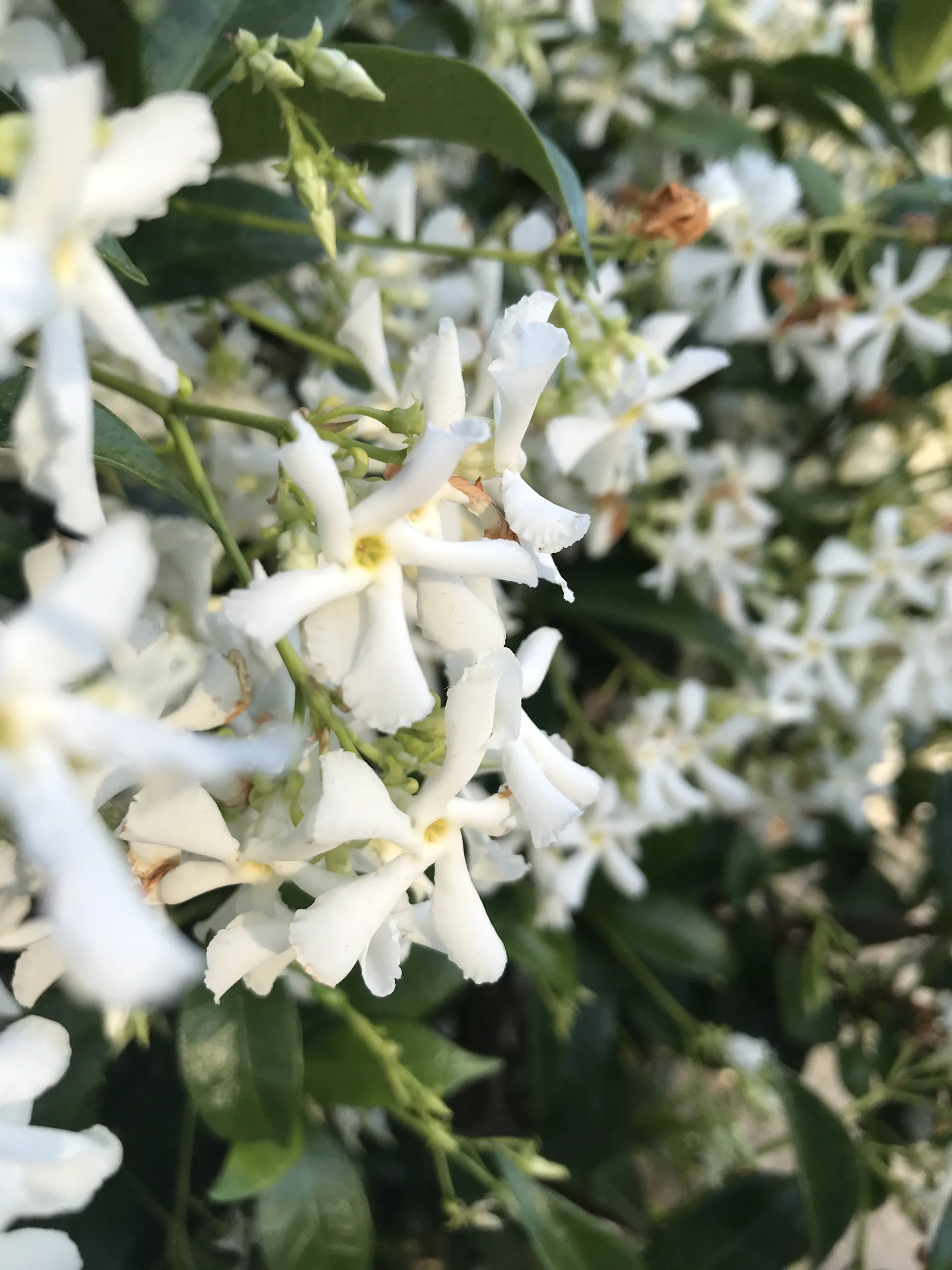 Babyboy😘 OnlyFans header