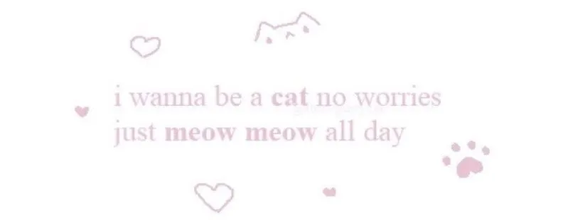 Sara (˶˃ ᵕ ˂˶) OnlyFans header