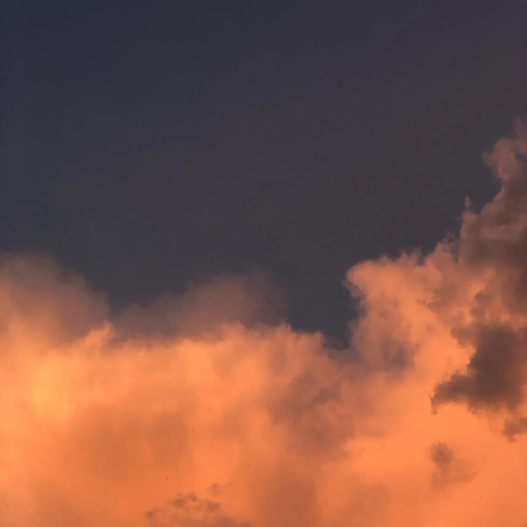 yourberlinboy OnlyFans header