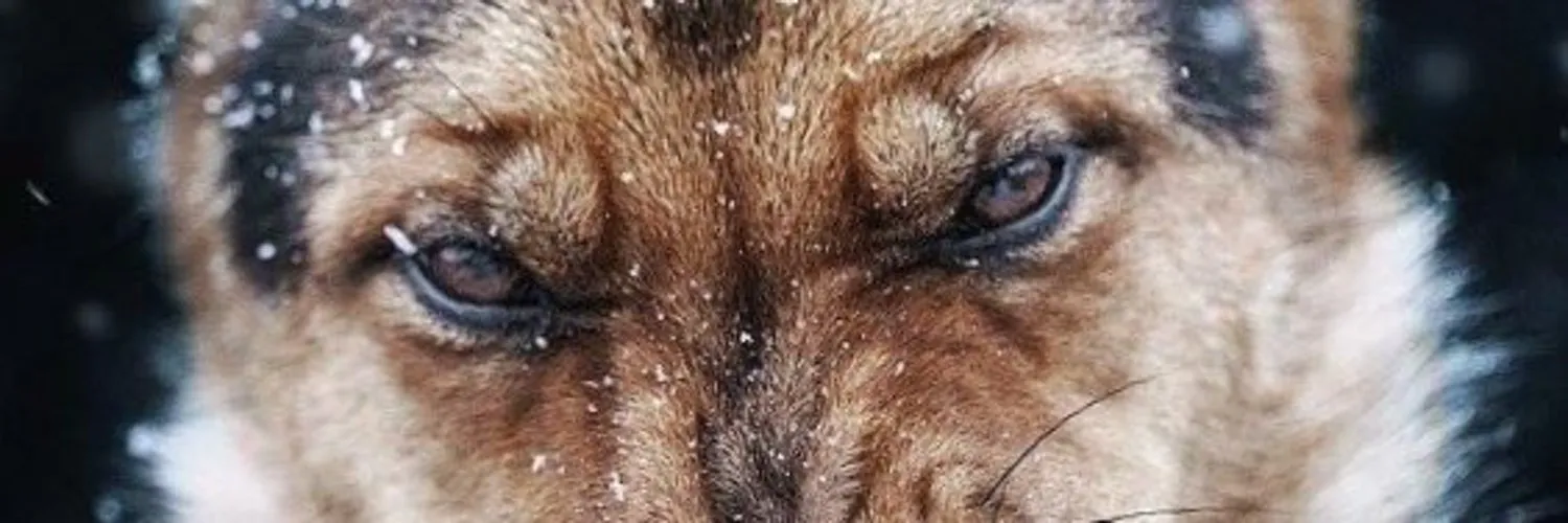 Melo⚡️ OnlyFans header