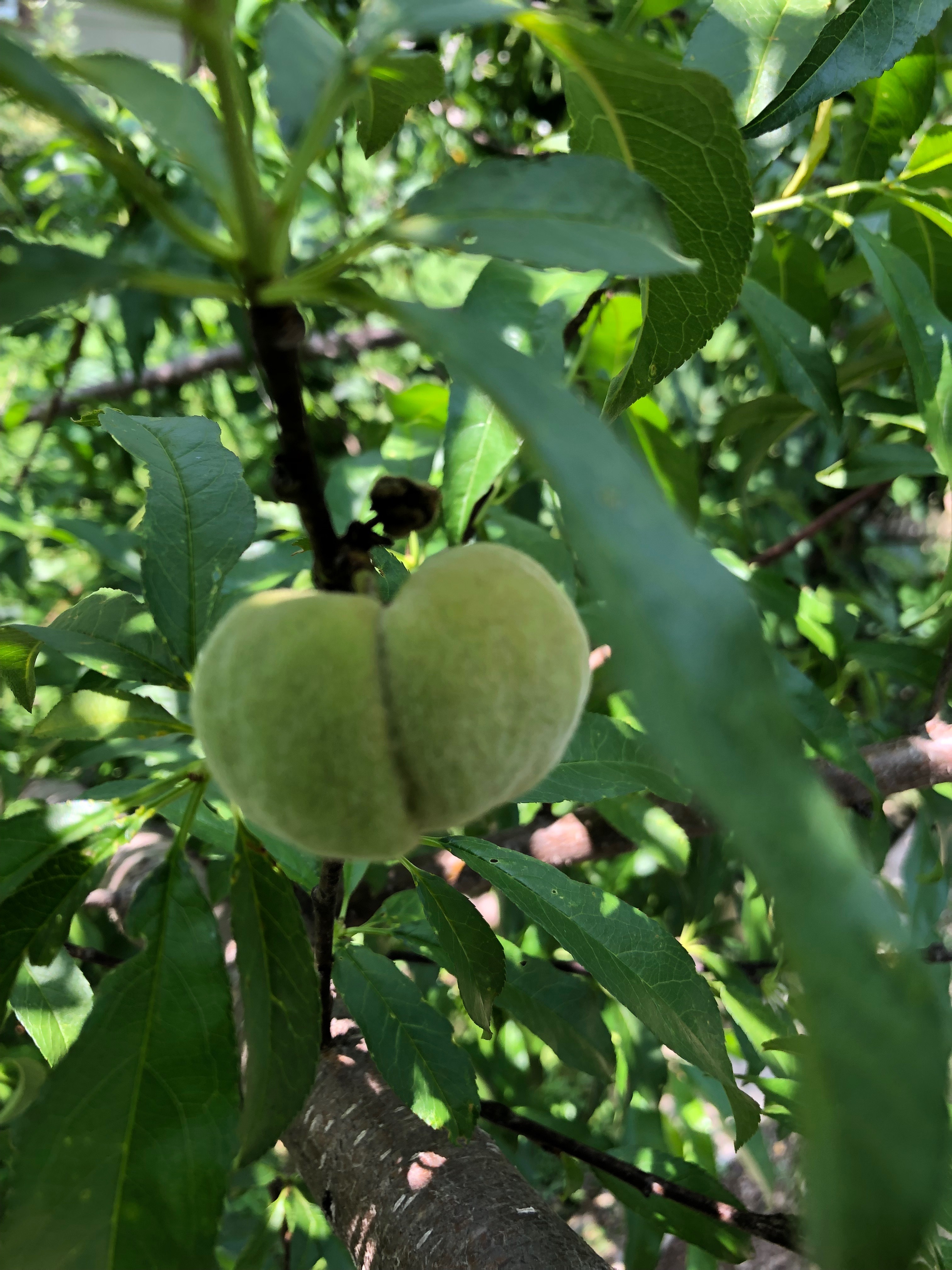 Your Bro Beau OnlyFans