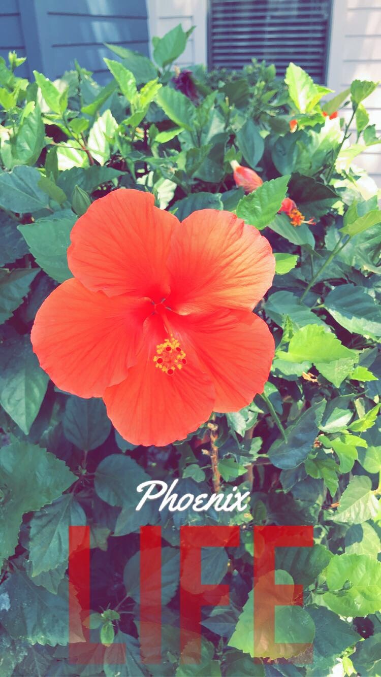 Candace Mork OnlyFans header