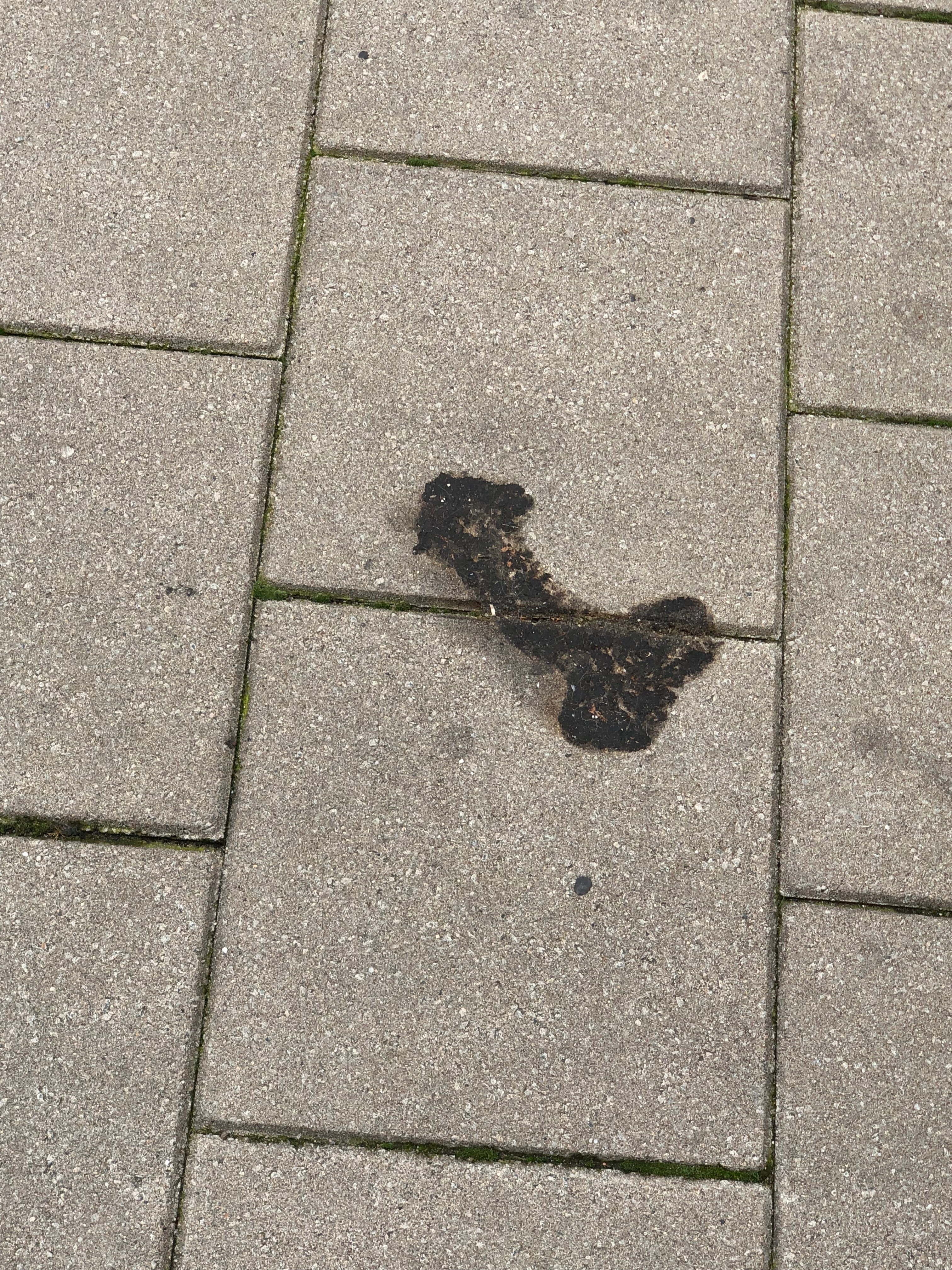 BABII💕💕 OnlyFans header