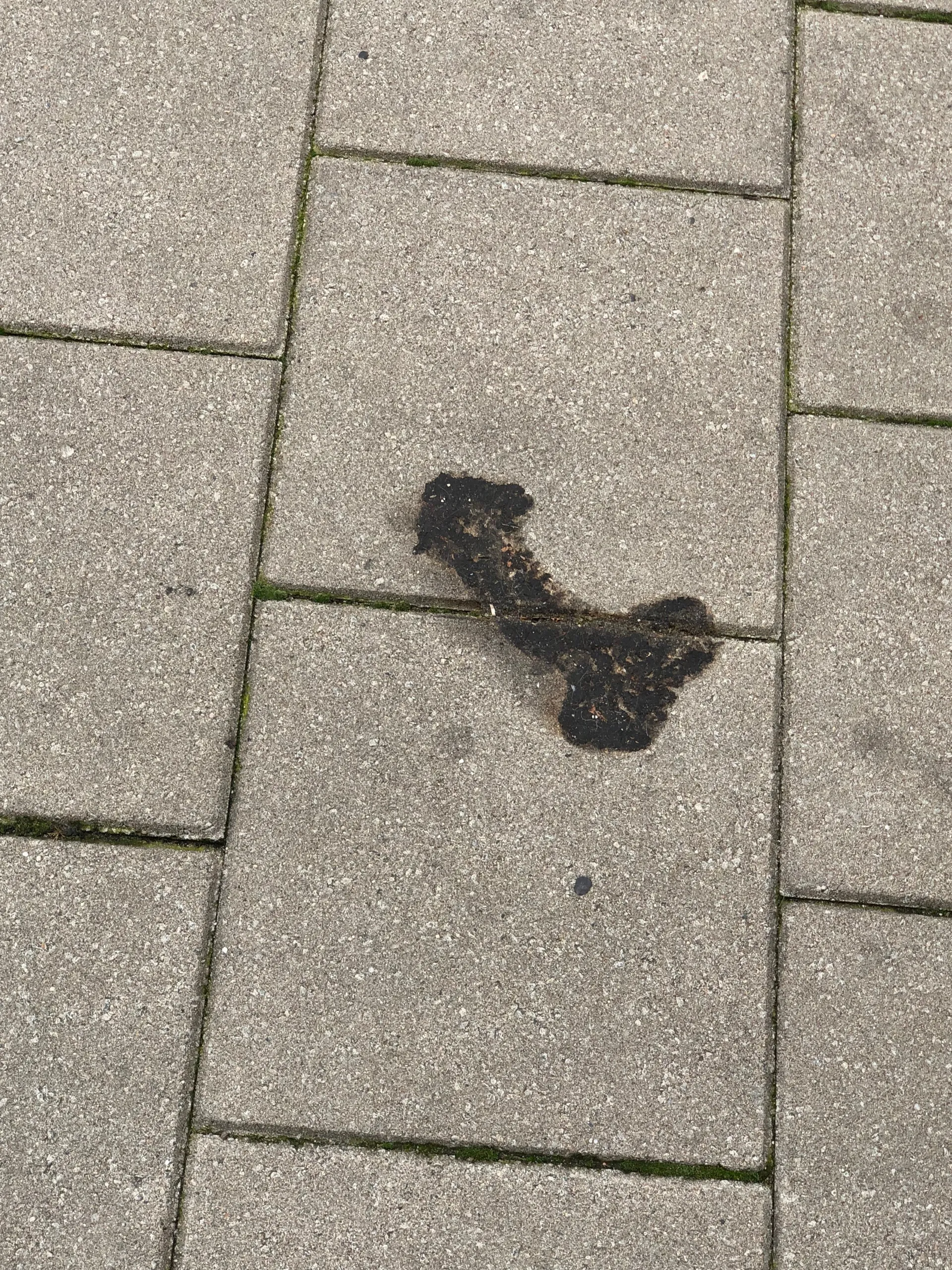 BABII💕💕 OnlyFans header