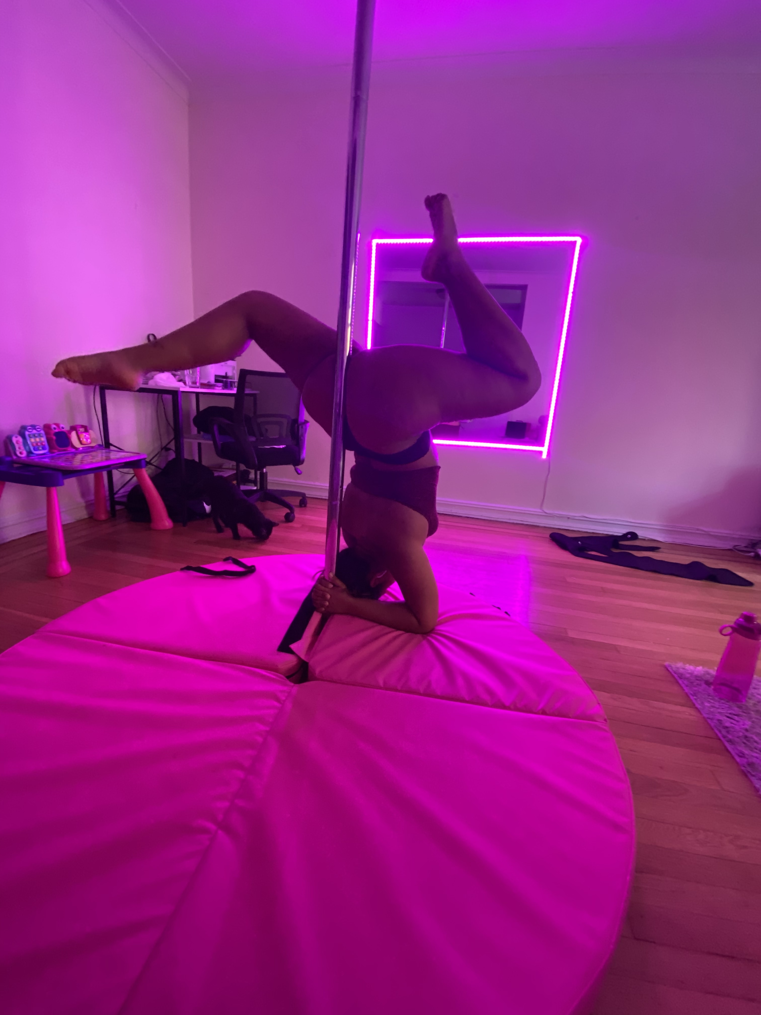 🦋 OnlyFans header