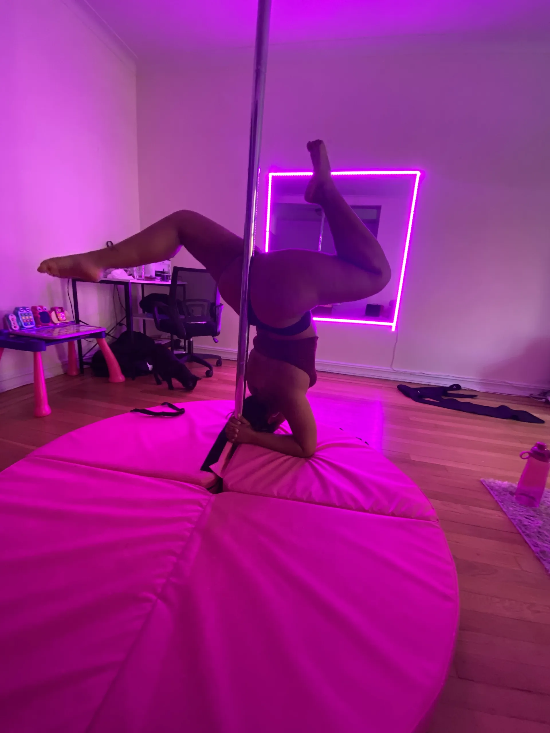 🦋 OnlyFans header