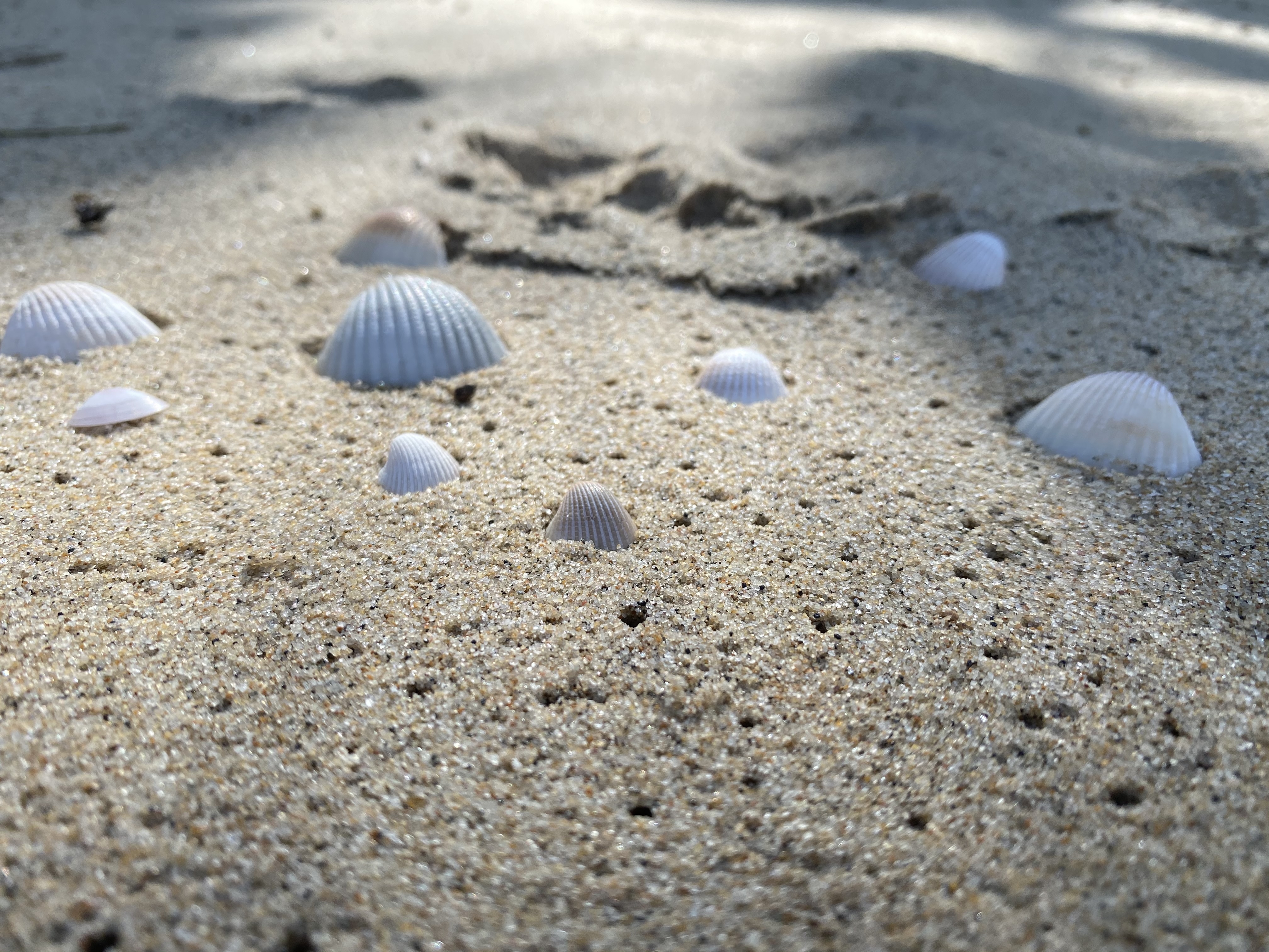 WranglersNAriats OnlyFans header