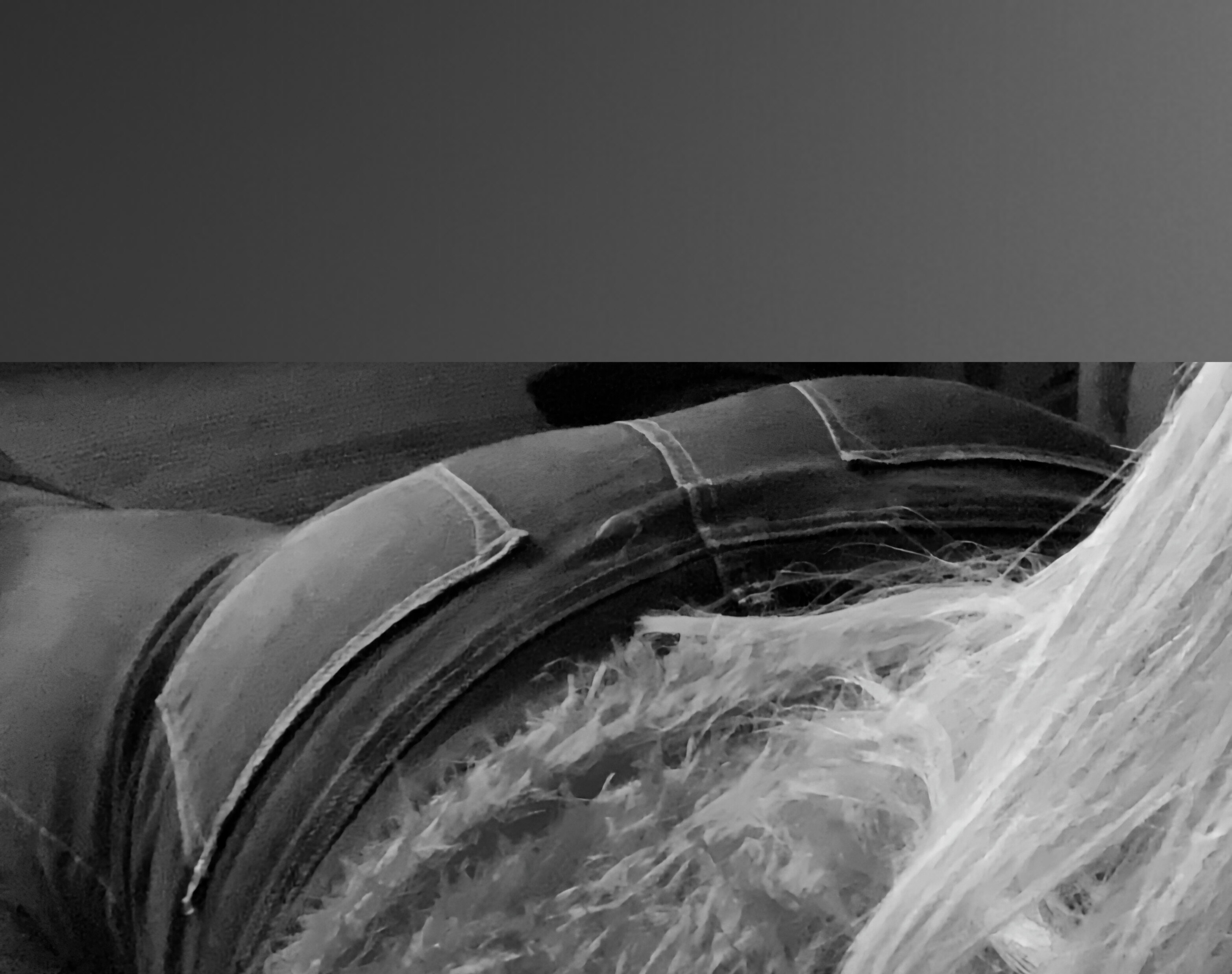 YourCurvyQueen OnlyFans header