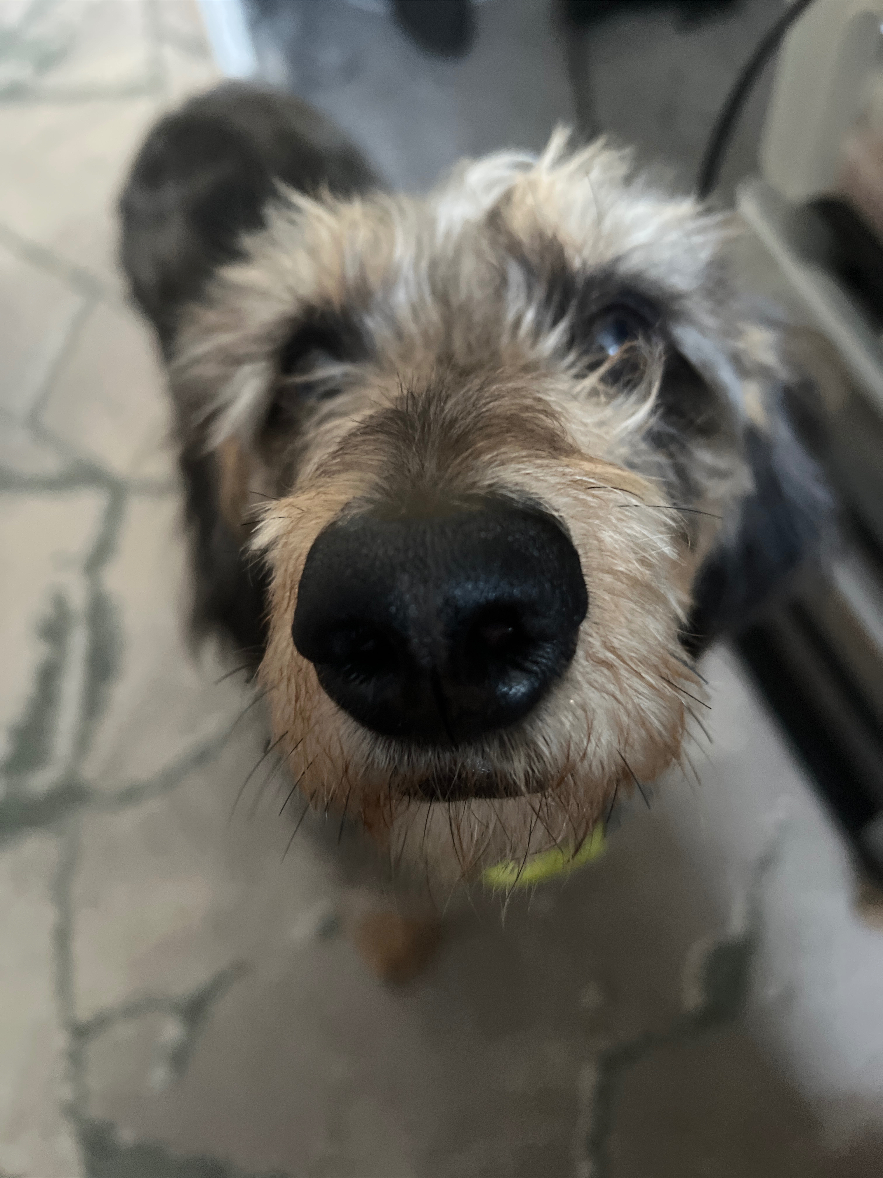 YourDarkQueen OnlyFans