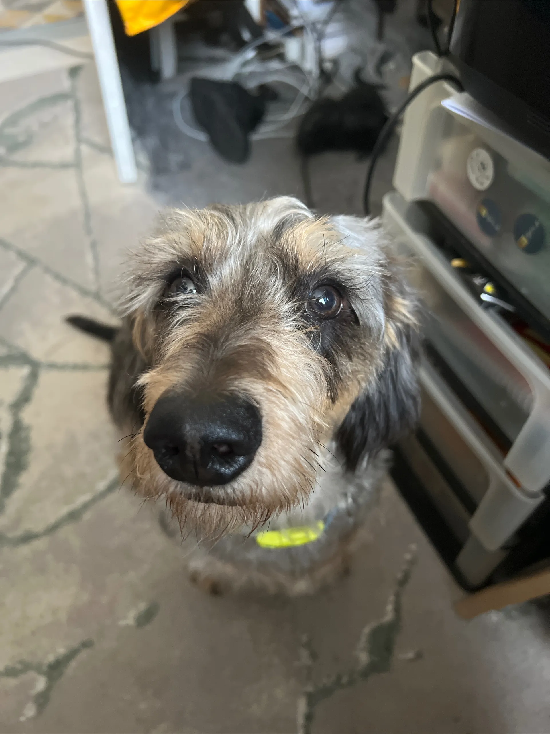 YourDarkQueen OnlyFans header