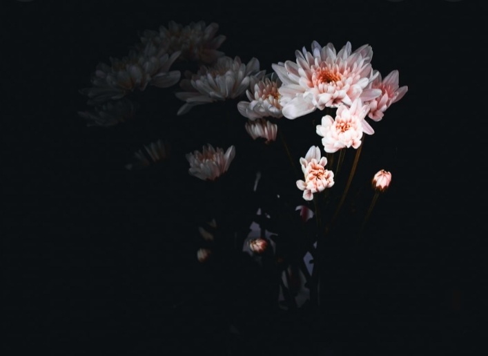 Em Meesh OnlyFans header