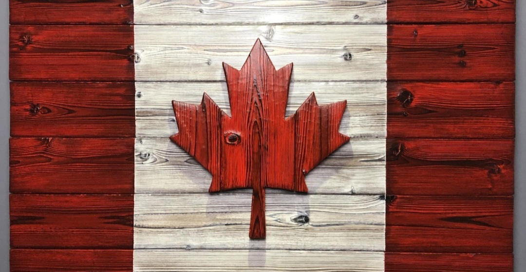 Elle OnlyFans header