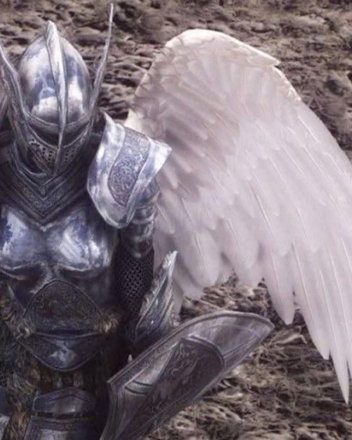 Bear &amp; Bunny OnlyFans