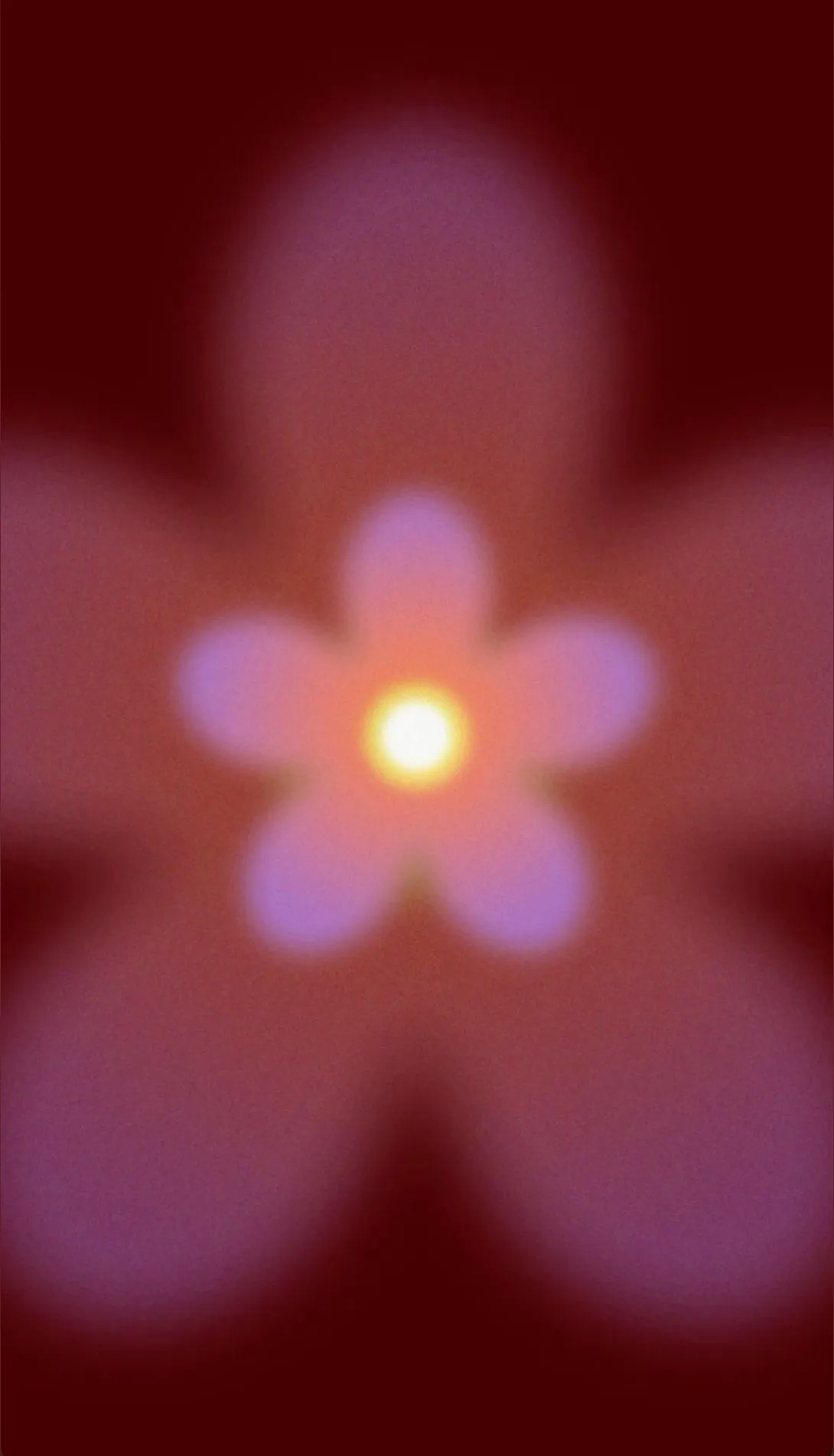 fire&amp;desire OnlyFans header