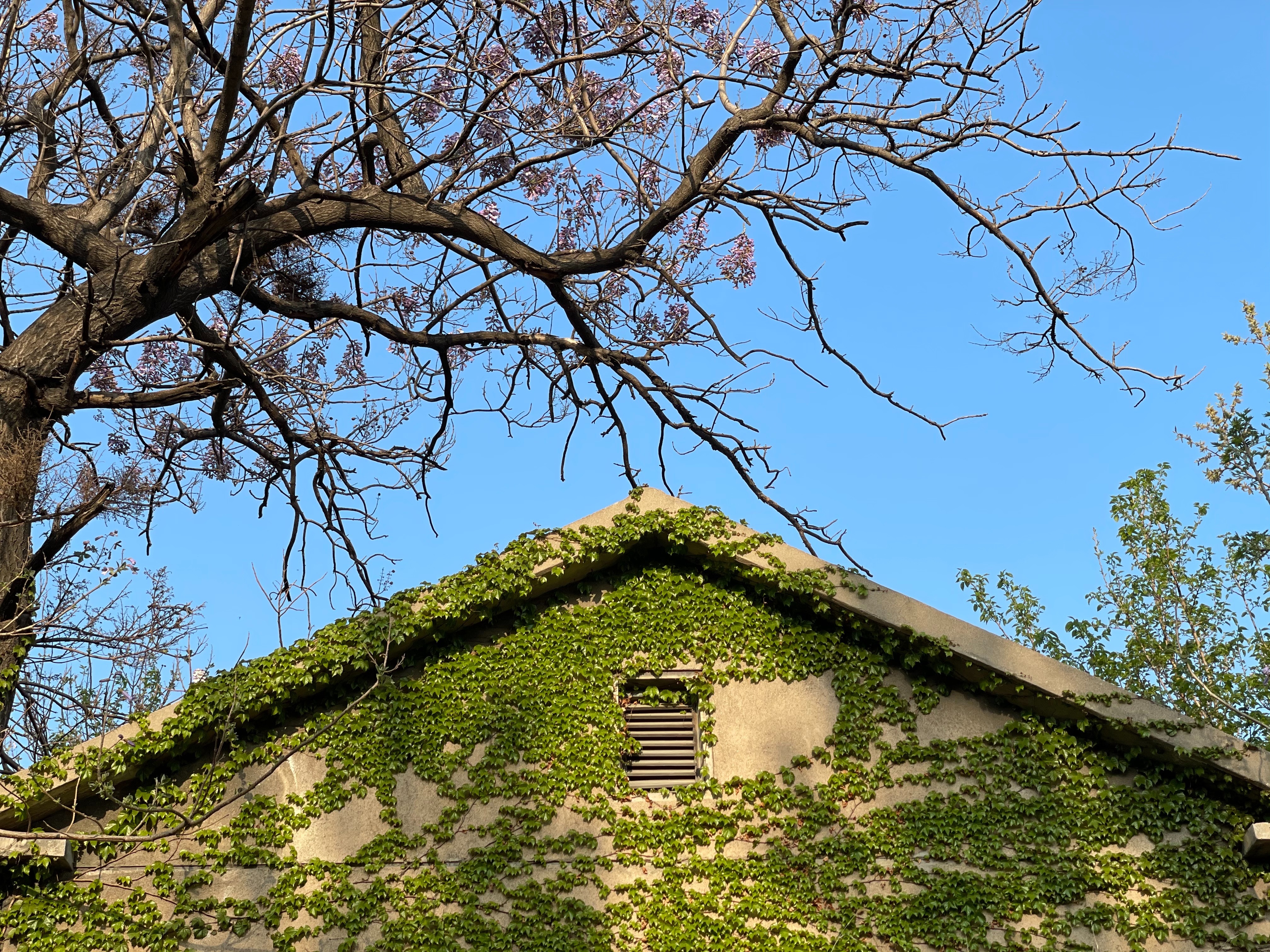 六味帝皇酱 OnlyFans header