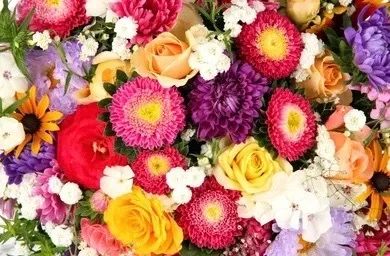 Rumer OnlyFans header