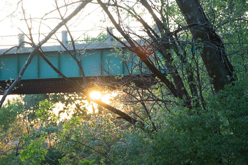 E_Rotica OnlyFans header