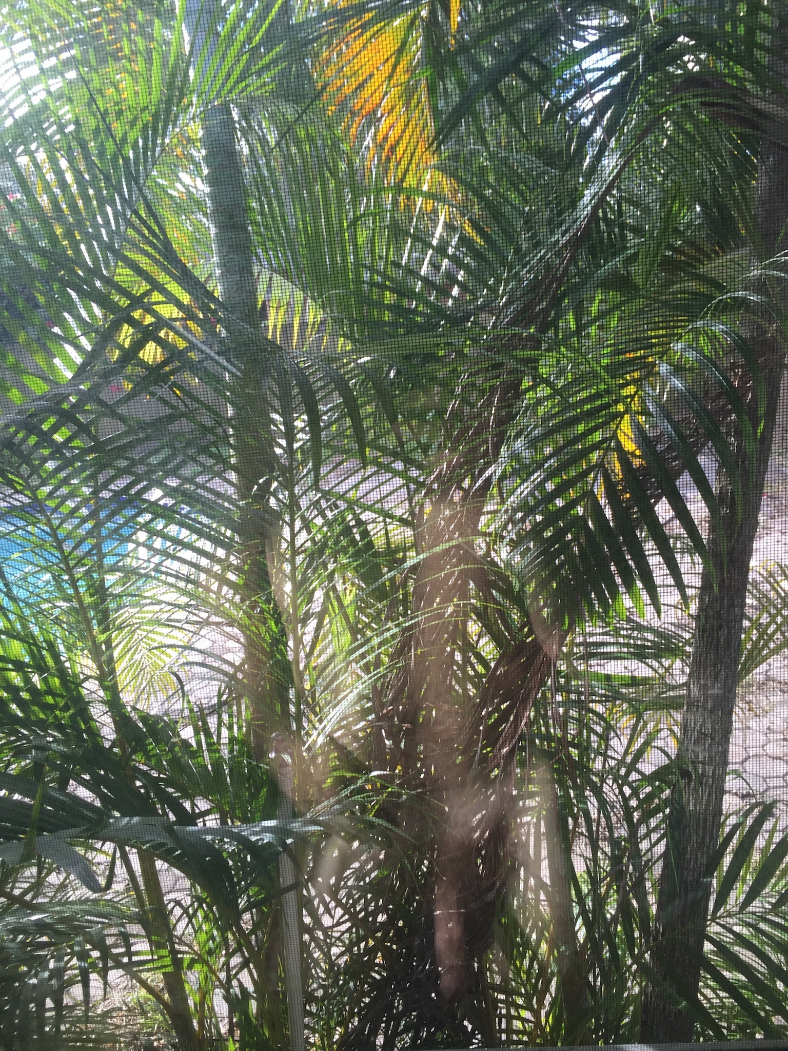 Derek Wildwood OnlyFans header