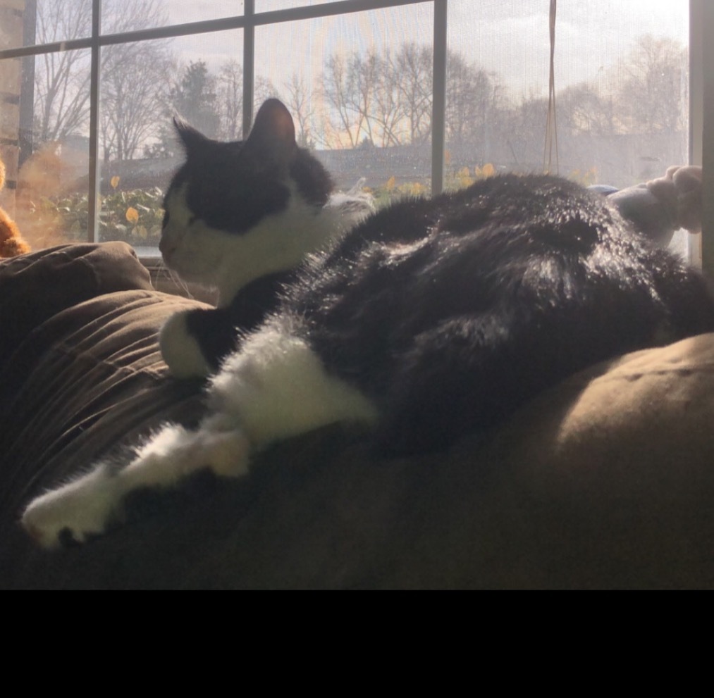 Abbey 🖤 OnlyFans header