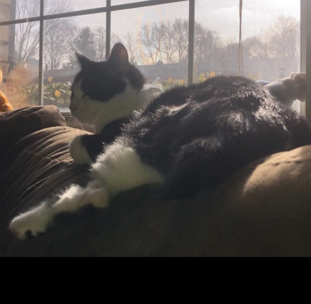 Abbey 🖤 OnlyFans header