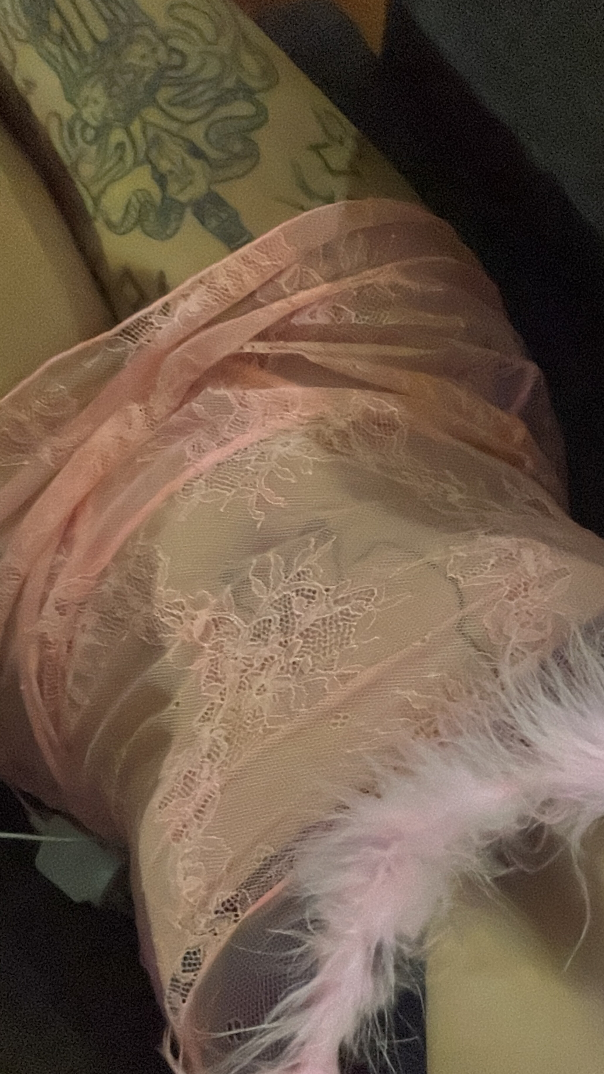 ThatoneSmallgirl OnlyFans header