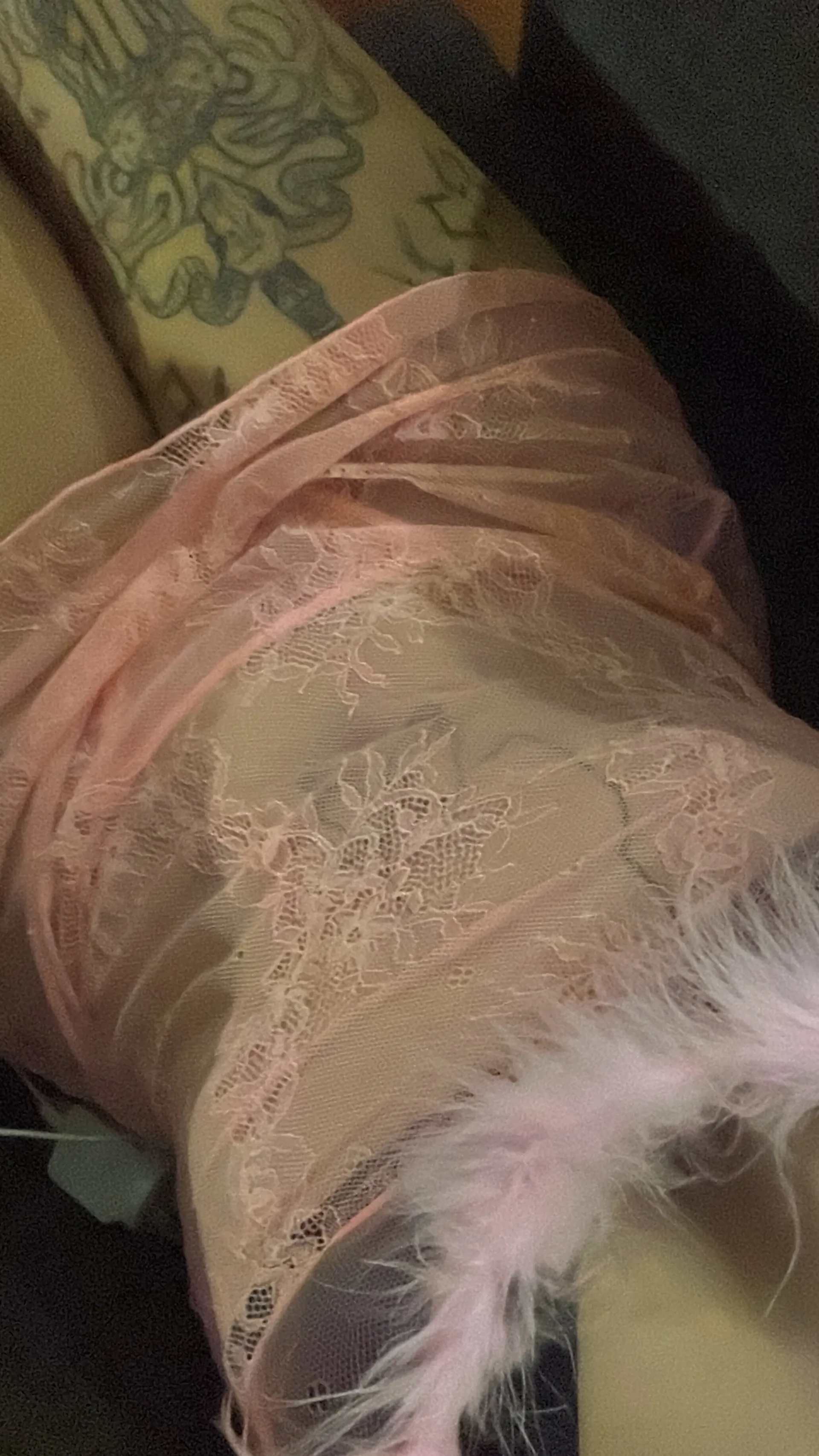 ThatoneSmallgirl OnlyFans header