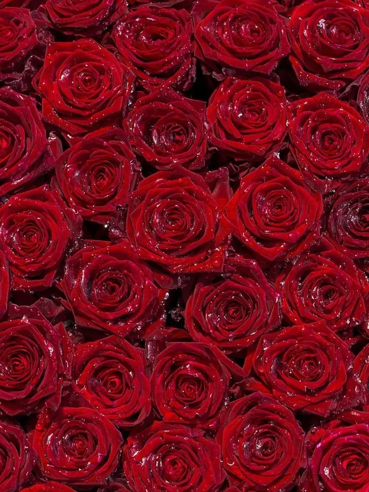 Ebonyprincess OnlyFans header