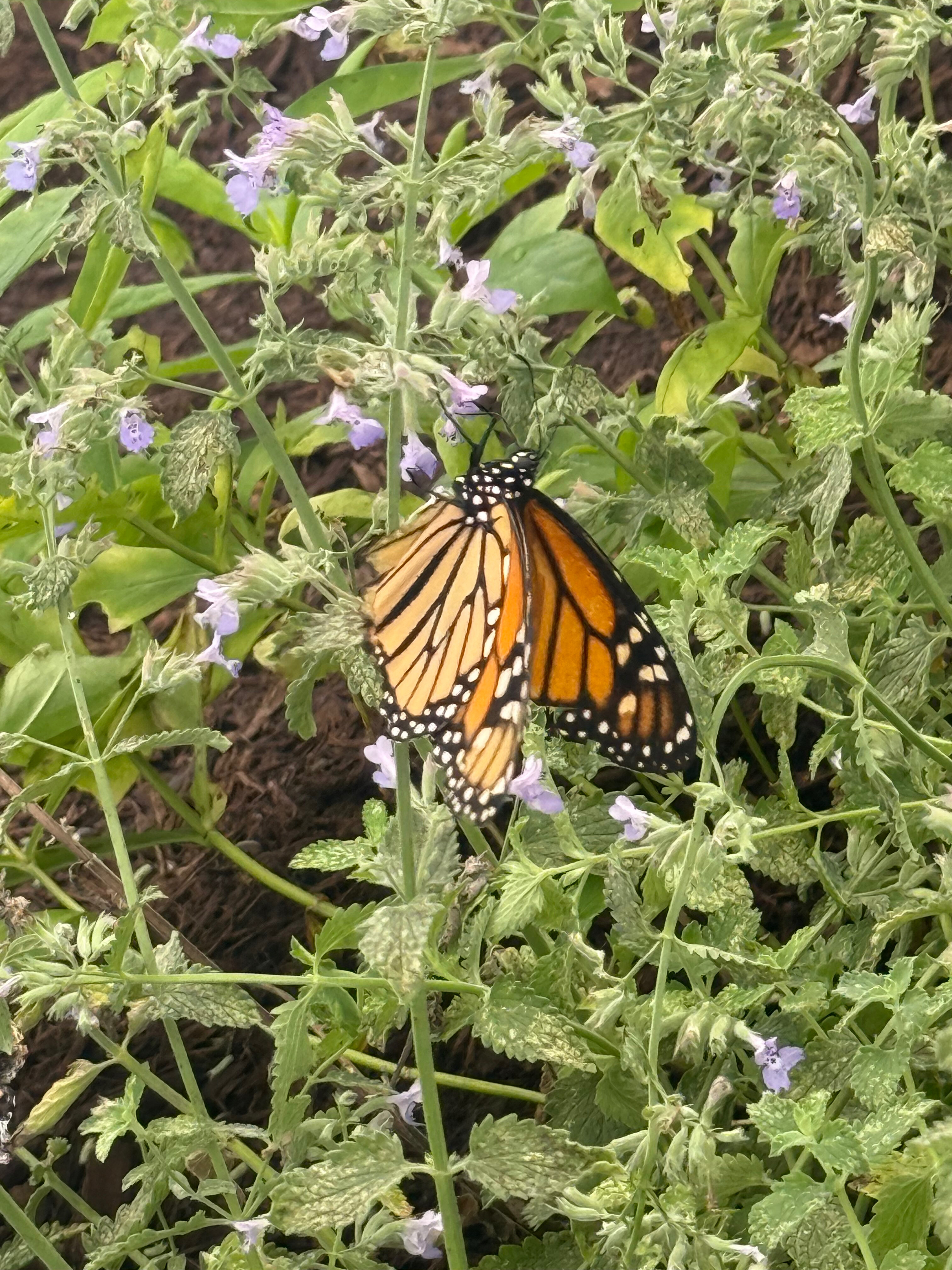 Yourfavepovs OnlyFans header