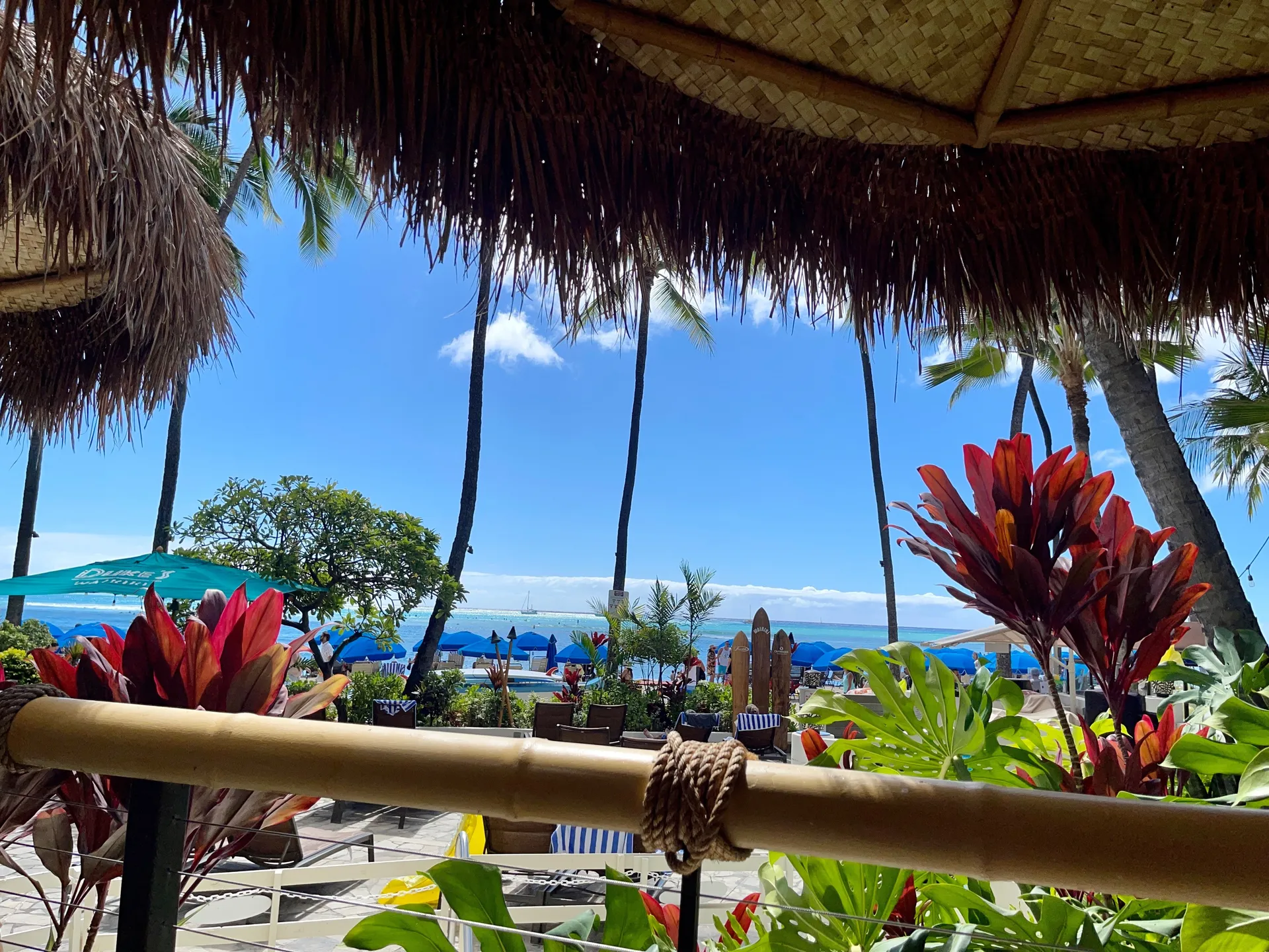 Allison OnlyFans header