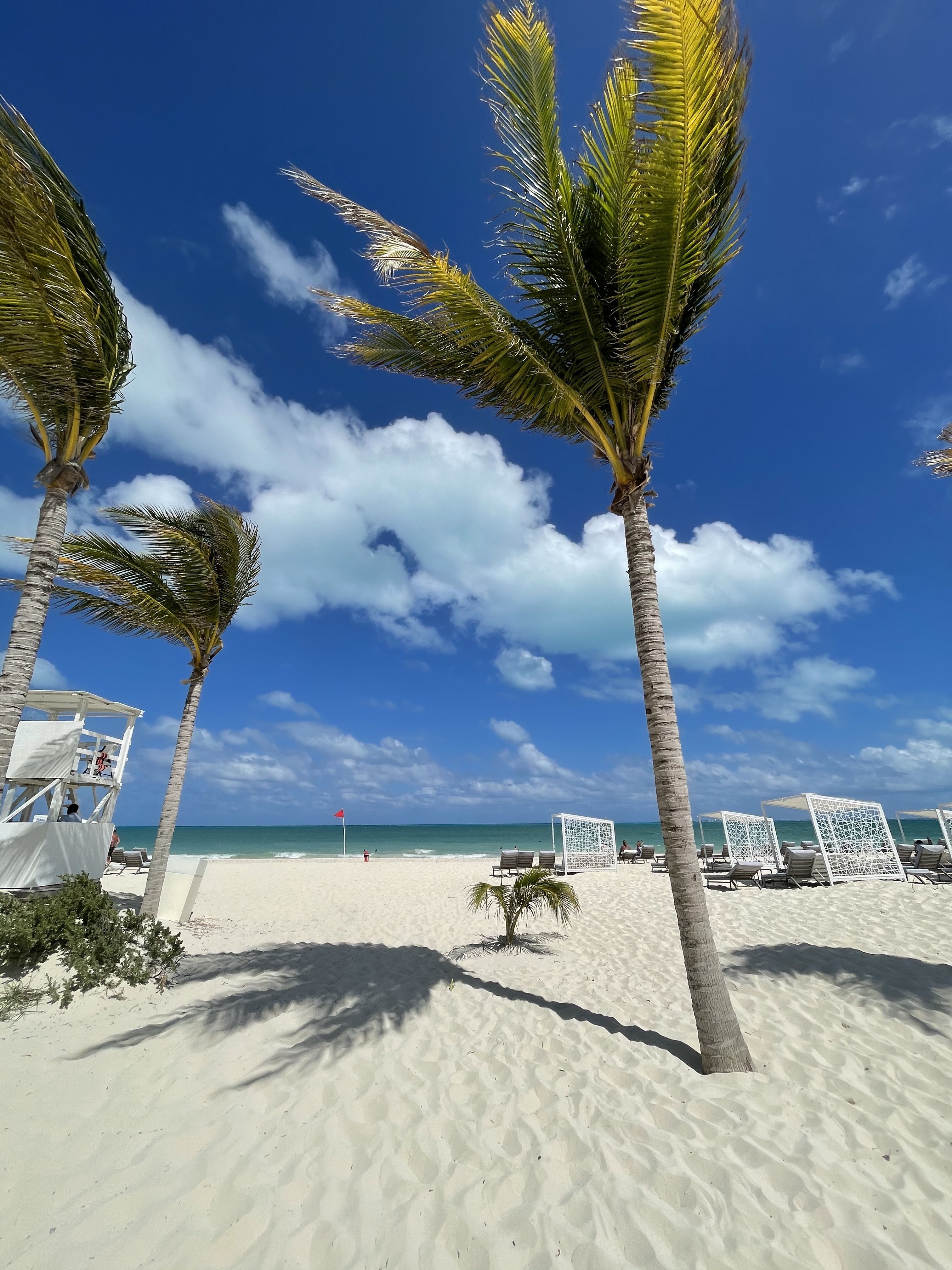 Your favorite ginger ❤️ OnlyFans header