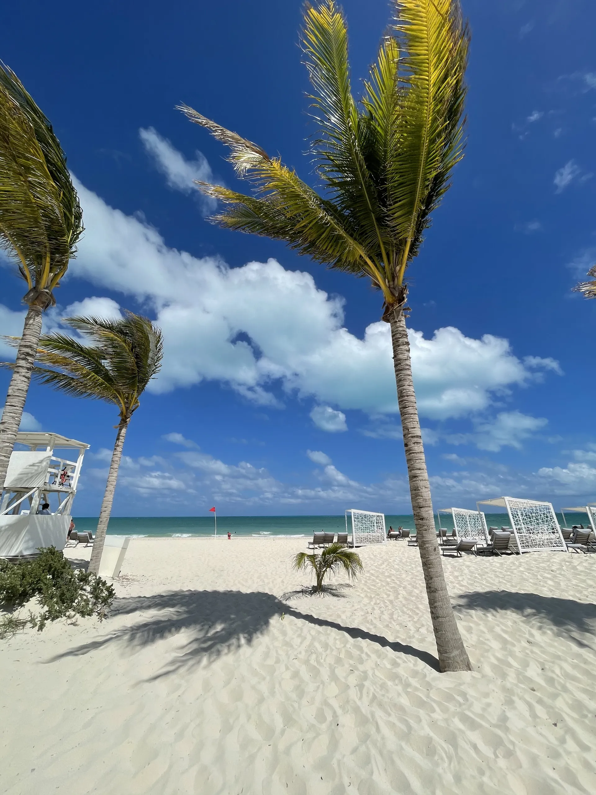 Your favorite ginger ❤️ OnlyFans header