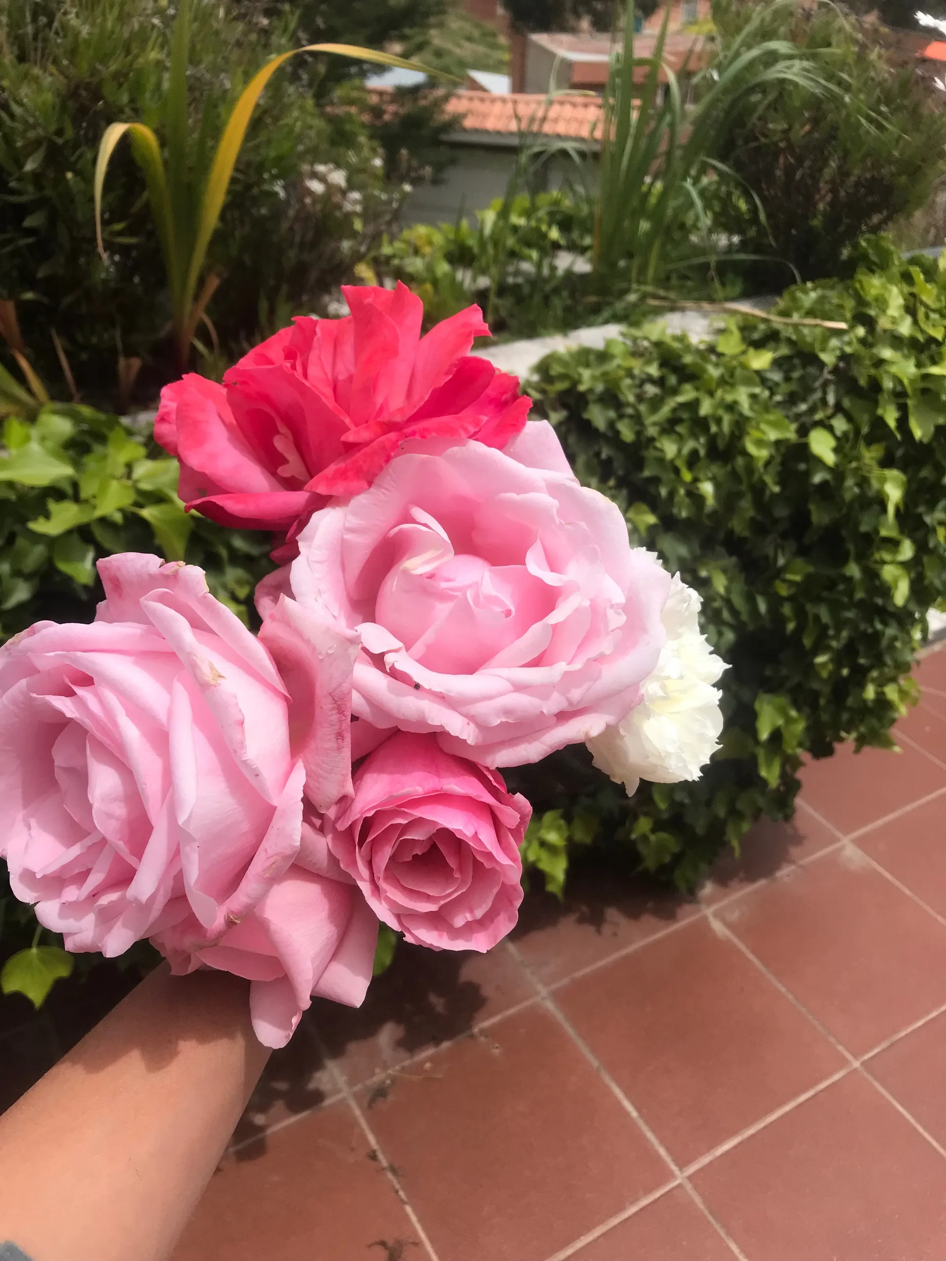 Yourfavoriteb1tch OnlyFans header