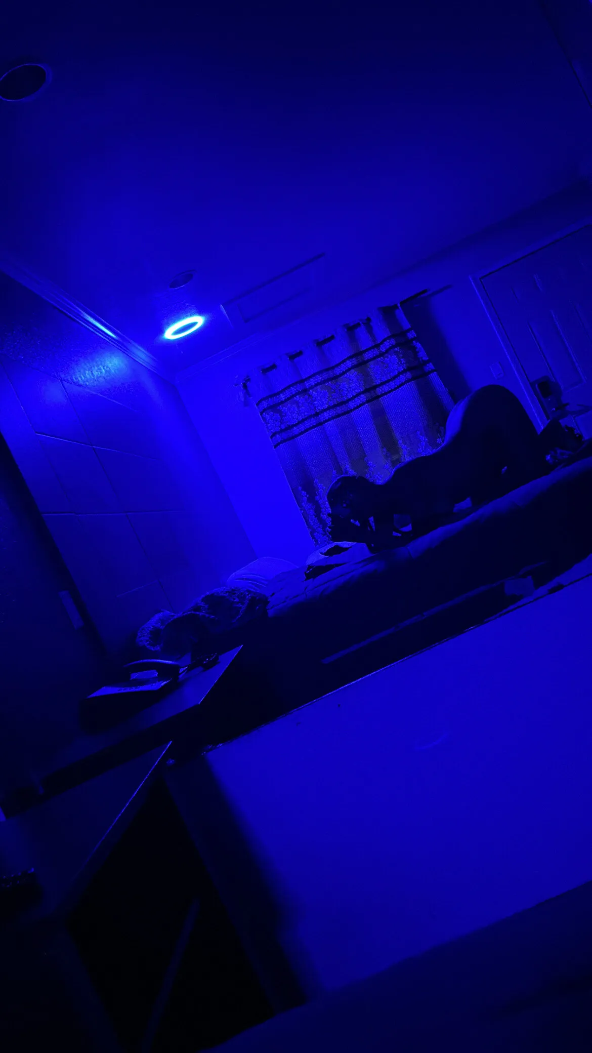 Lillpearls OnlyFans header