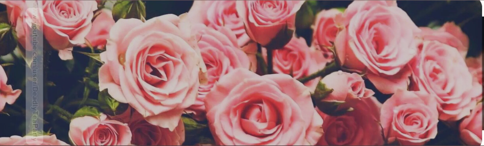 Ayianna OnlyFans header