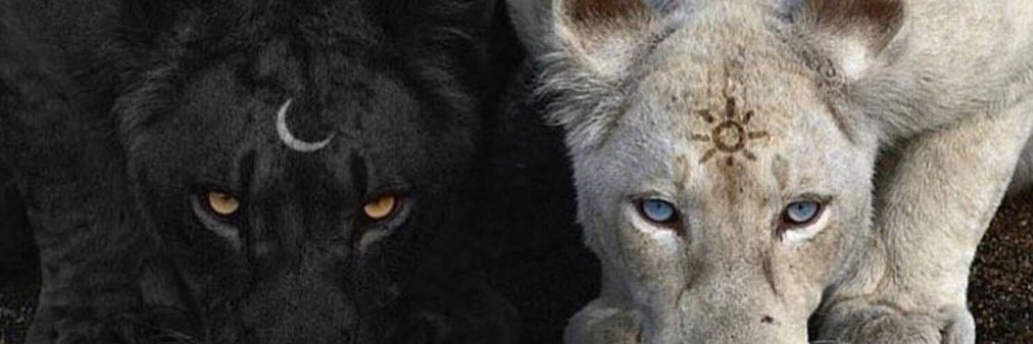 JaQuan OnlyFans header