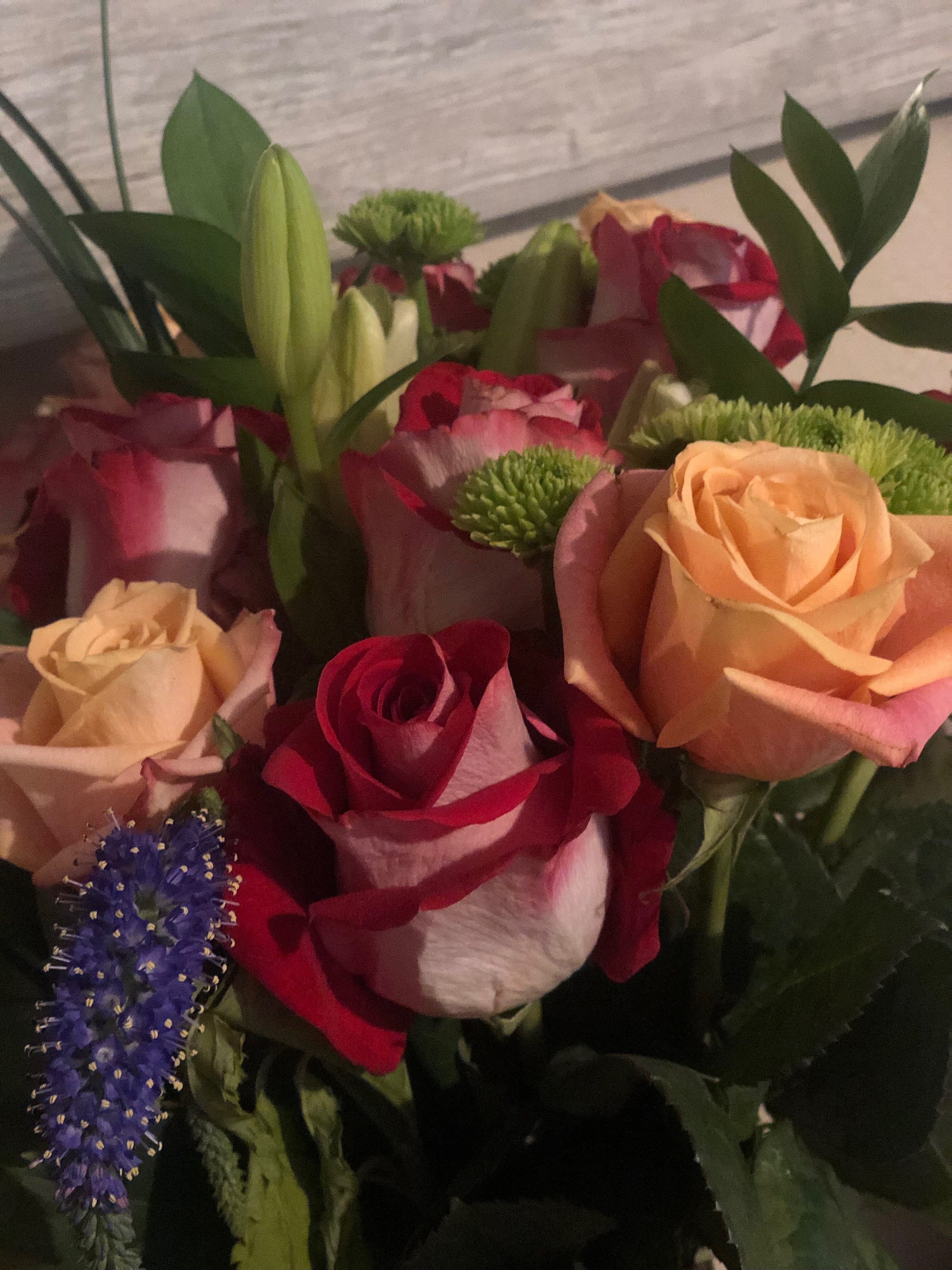 Bianca OnlyFans header