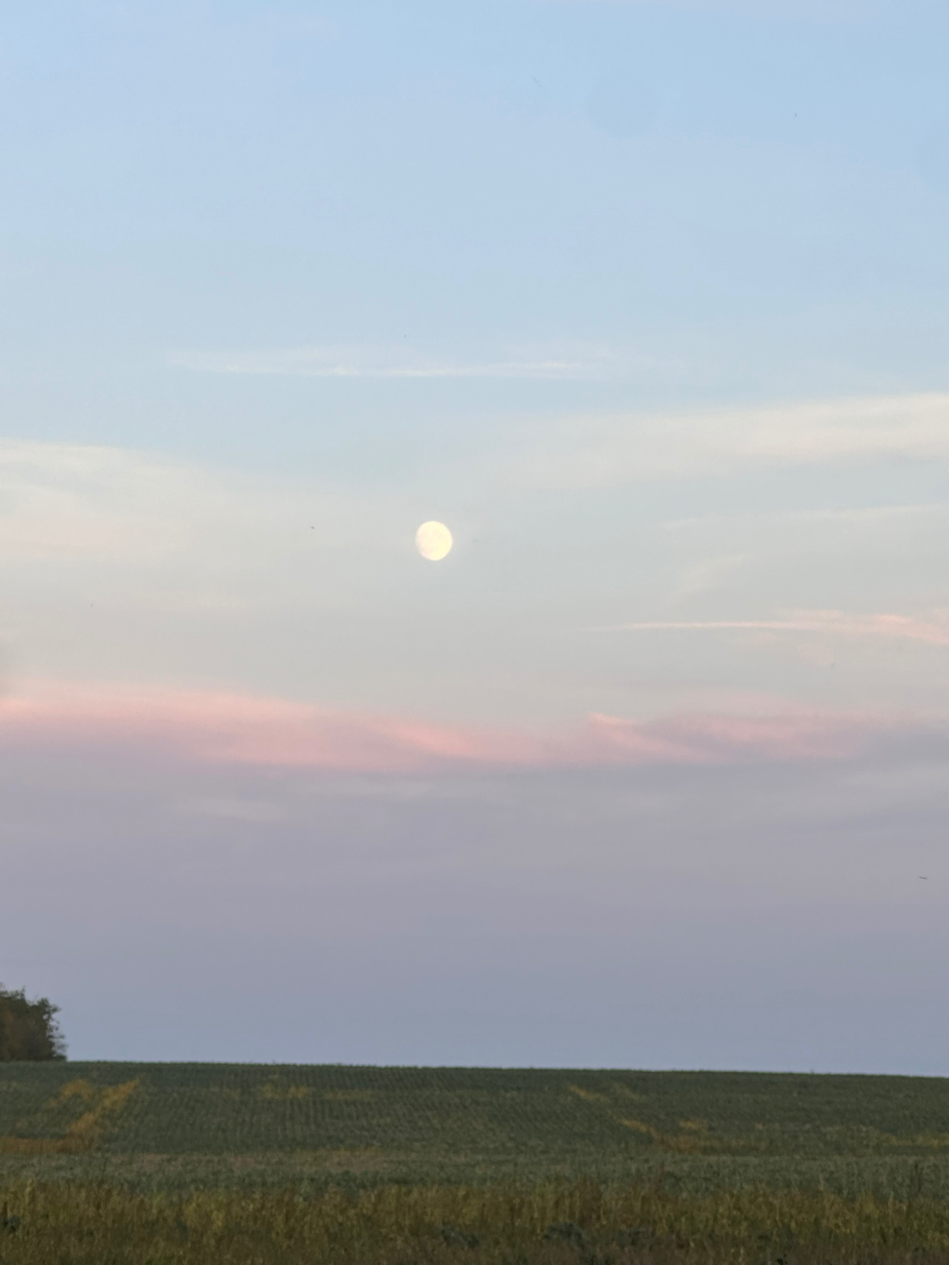 Marie 😘 OnlyFans header