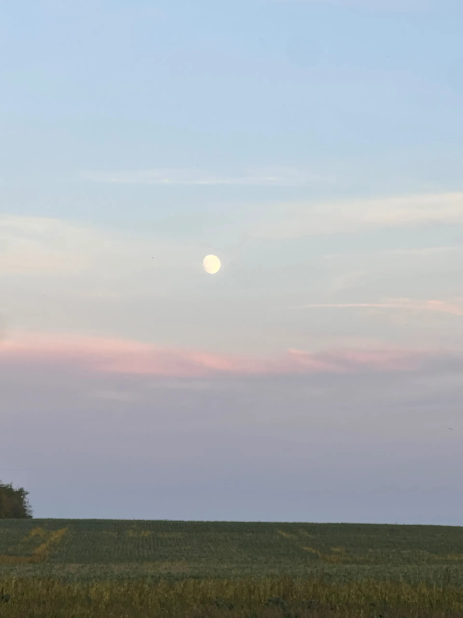 Marie 😘 OnlyFans header