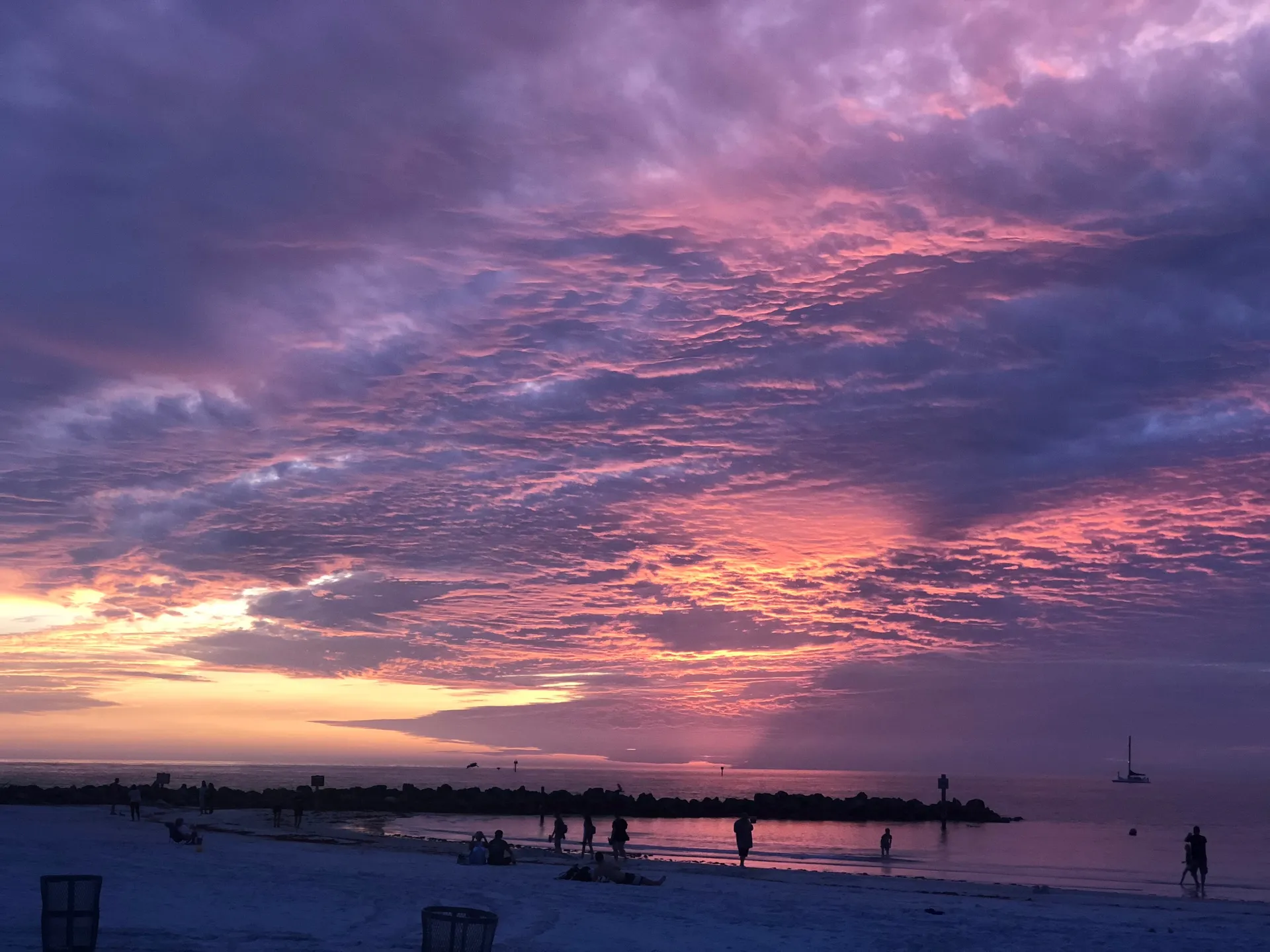 Pink Princess OnlyFans header