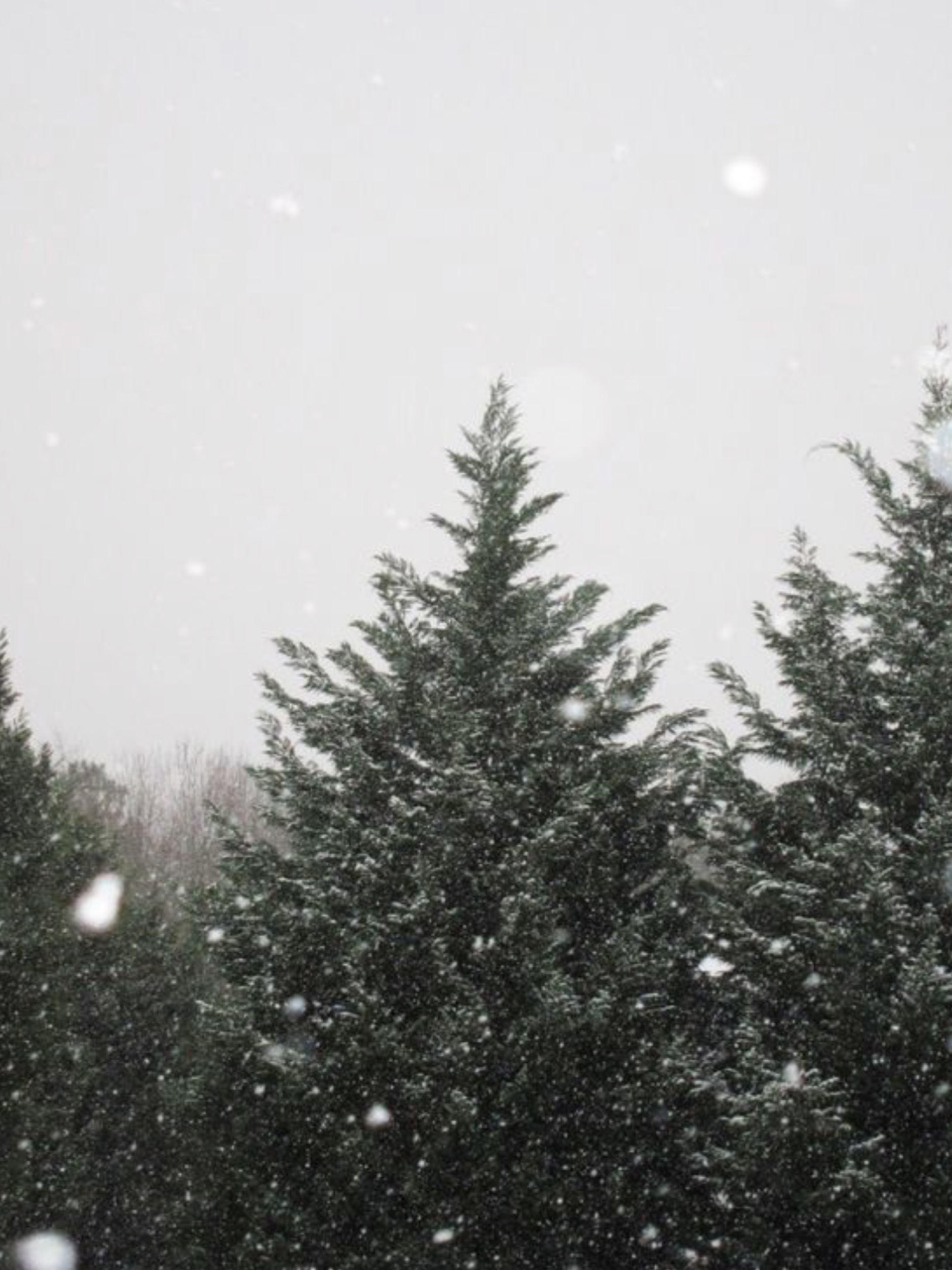 Seductive pov OnlyFans header