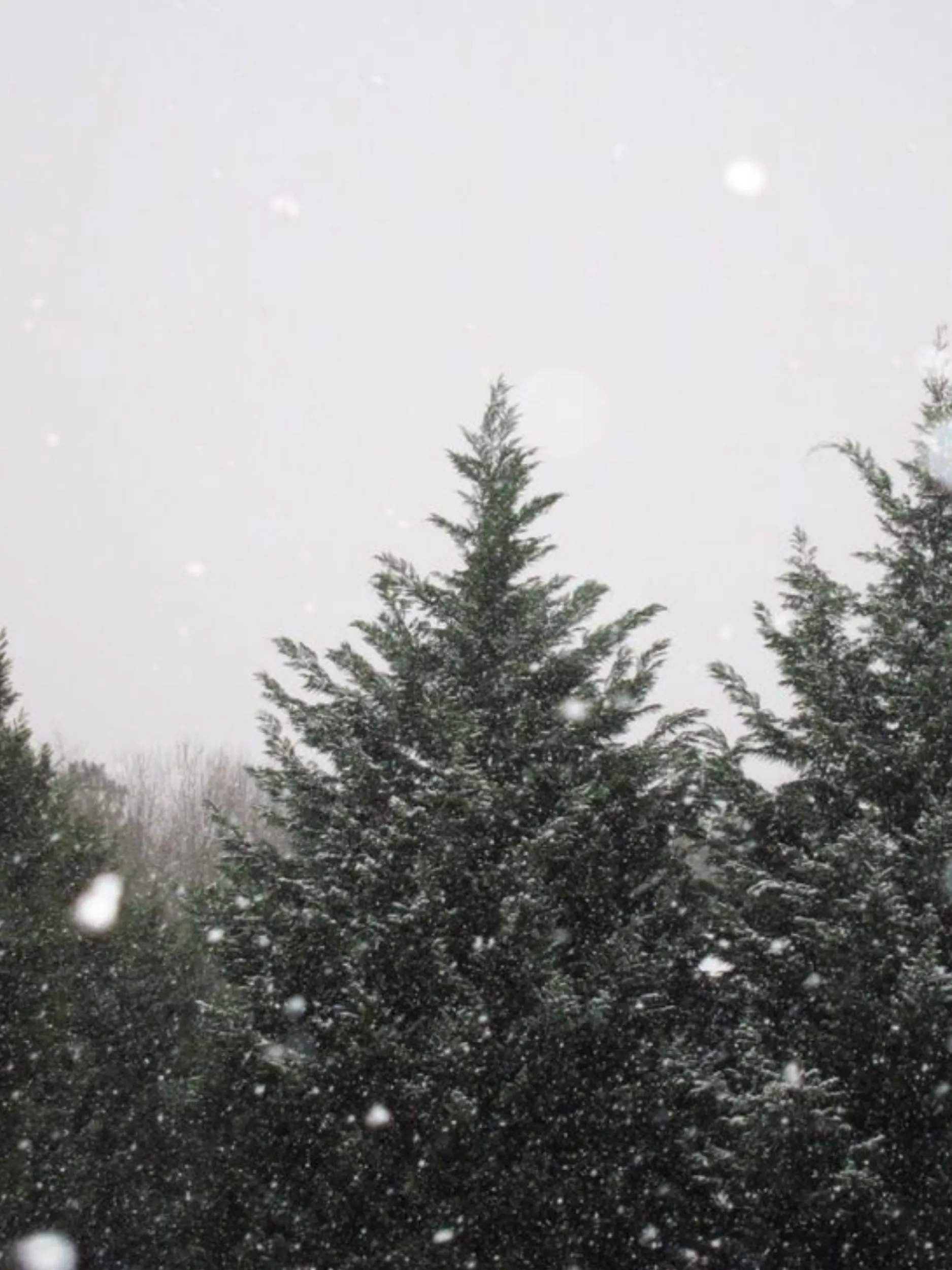 Seductive pov OnlyFans header