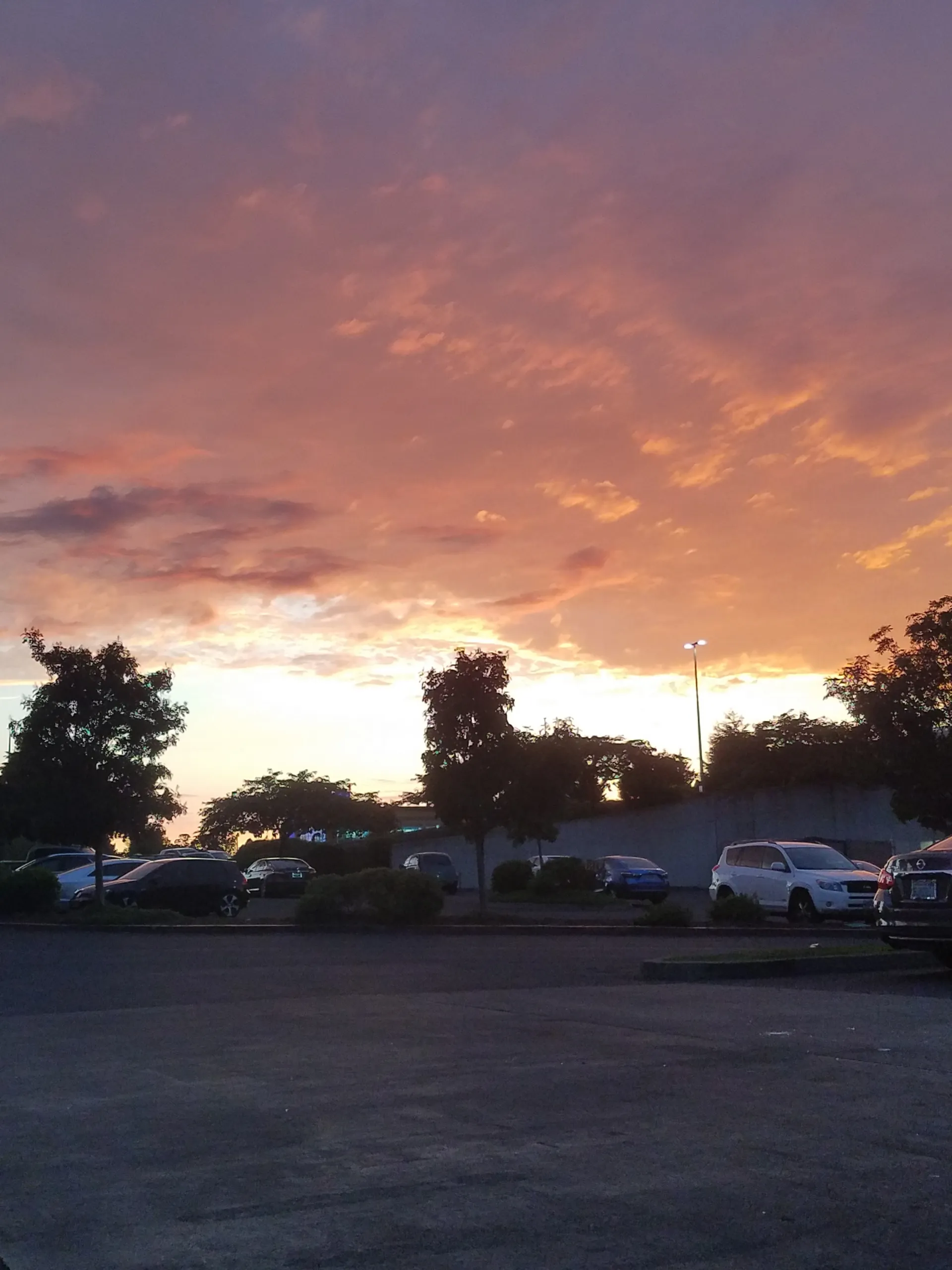 Amanda Daisuke OnlyFans header