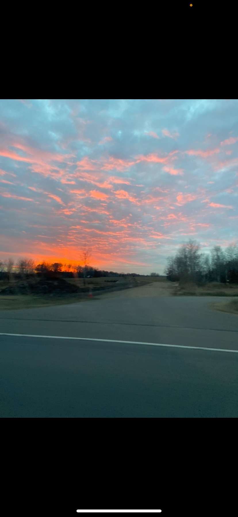 Queenbee&amp;He🐝 OnlyFans header